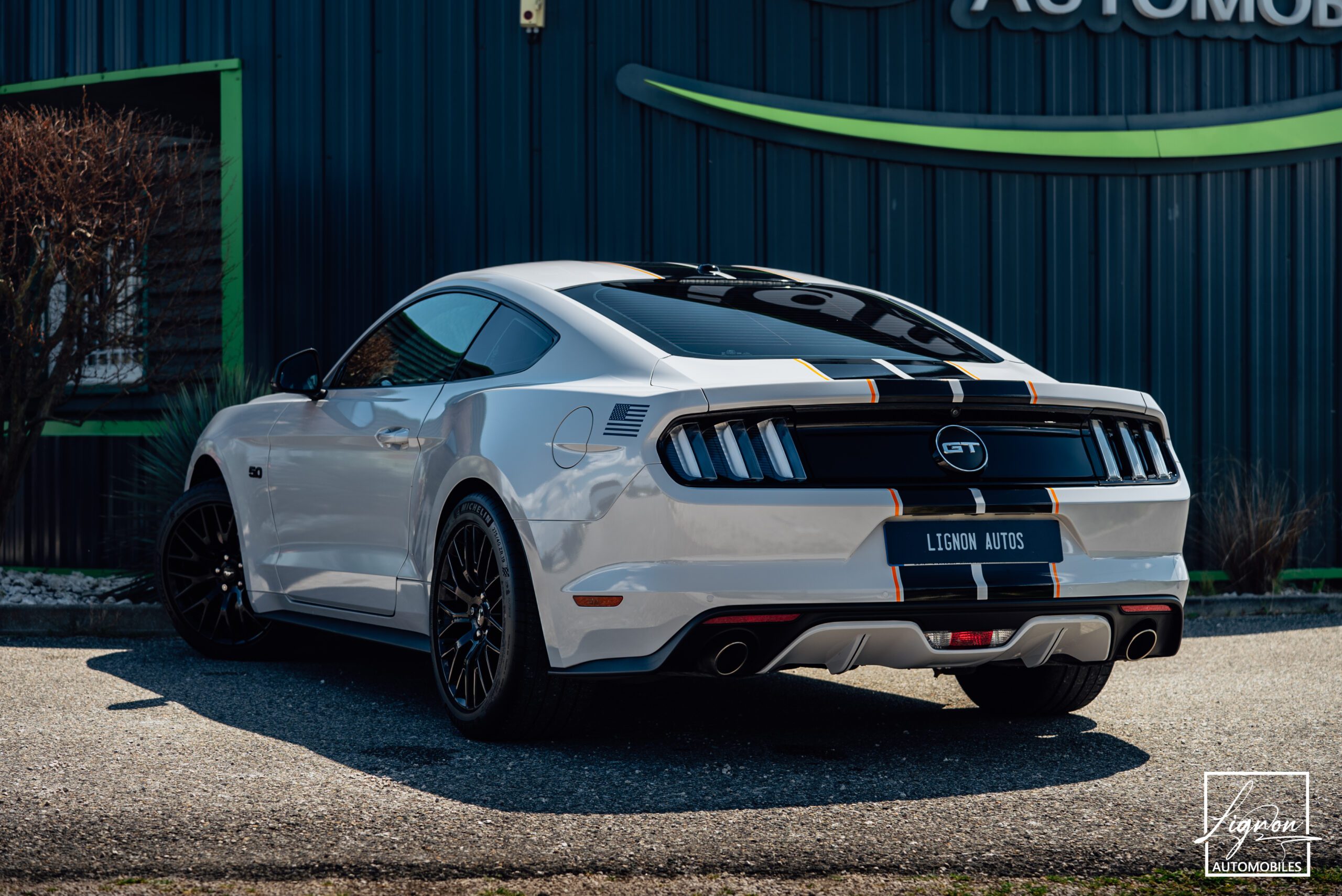 Photo Ford Mustang 5.0 v8 GT Fastback 421 ch BVA6