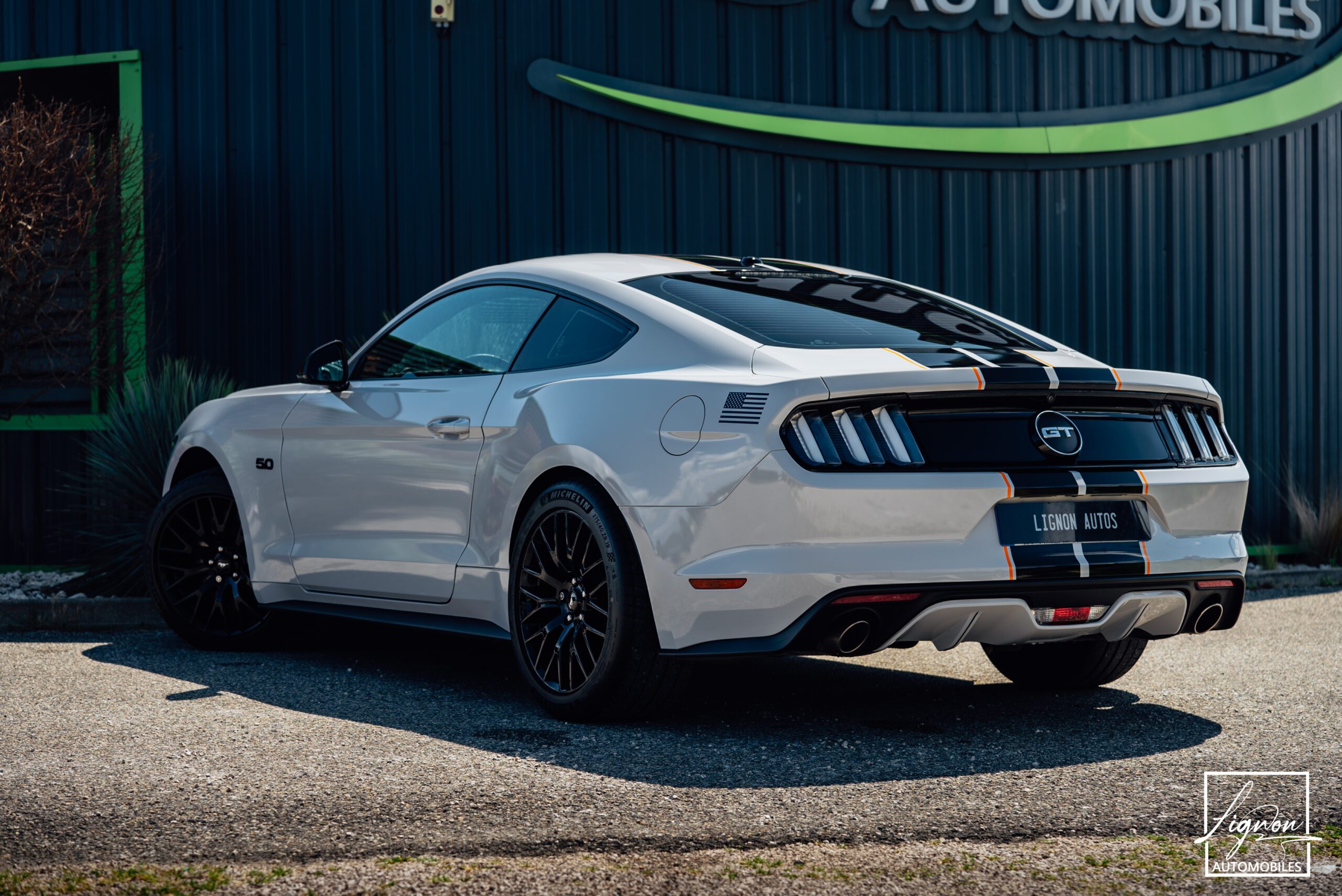 Photo Ford Mustang 5.0 v8 GT Fastback 421 ch BVA6