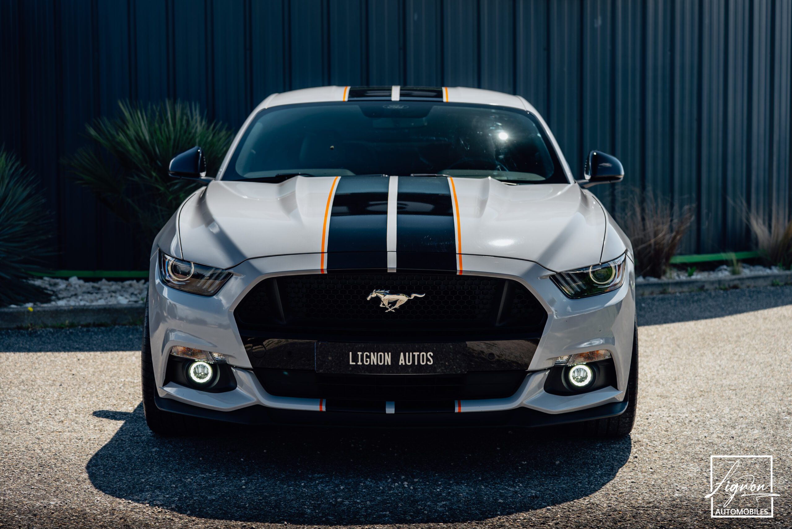 Photo Ford Mustang 5.0 v8 GT Fastback 421 ch BVA6