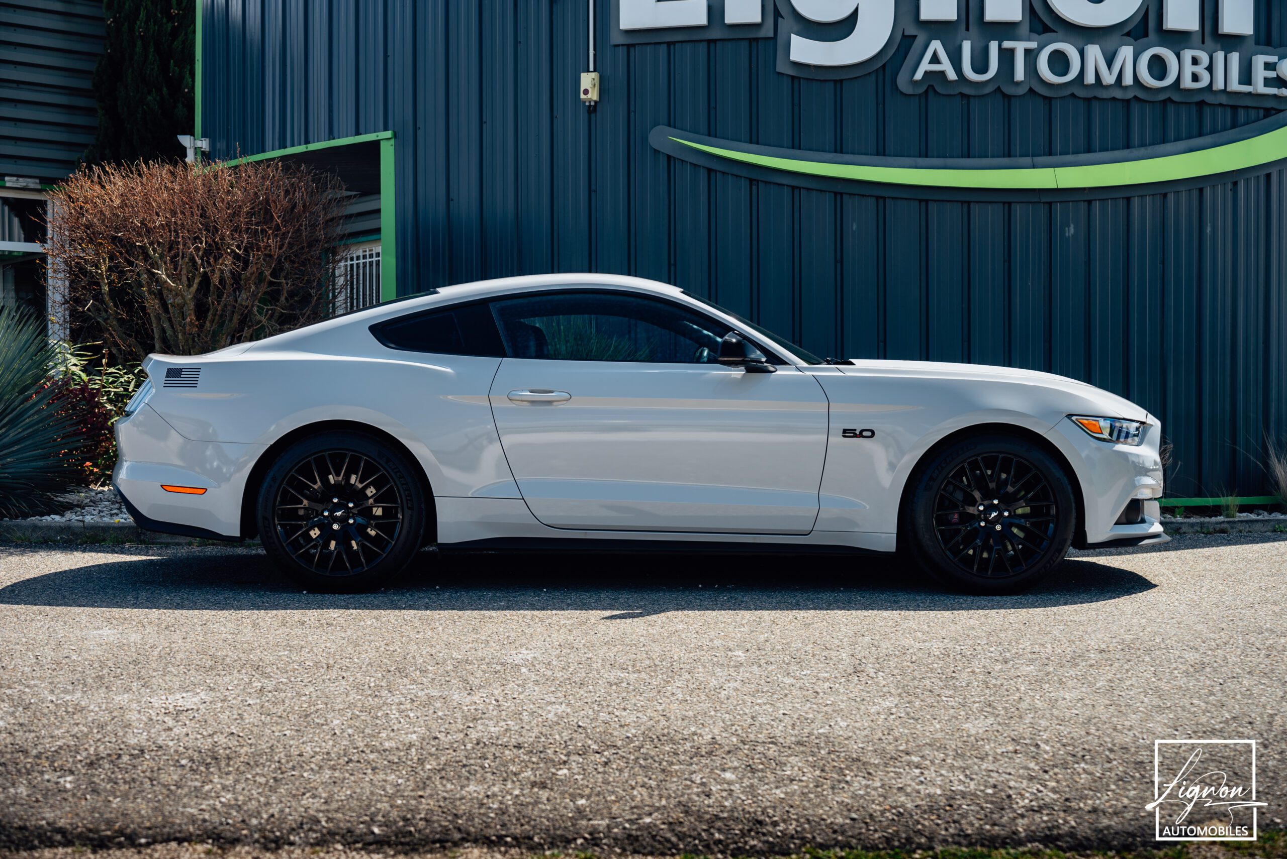 Photo Ford Mustang 5.0 v8 GT Fastback 421 ch BVA6