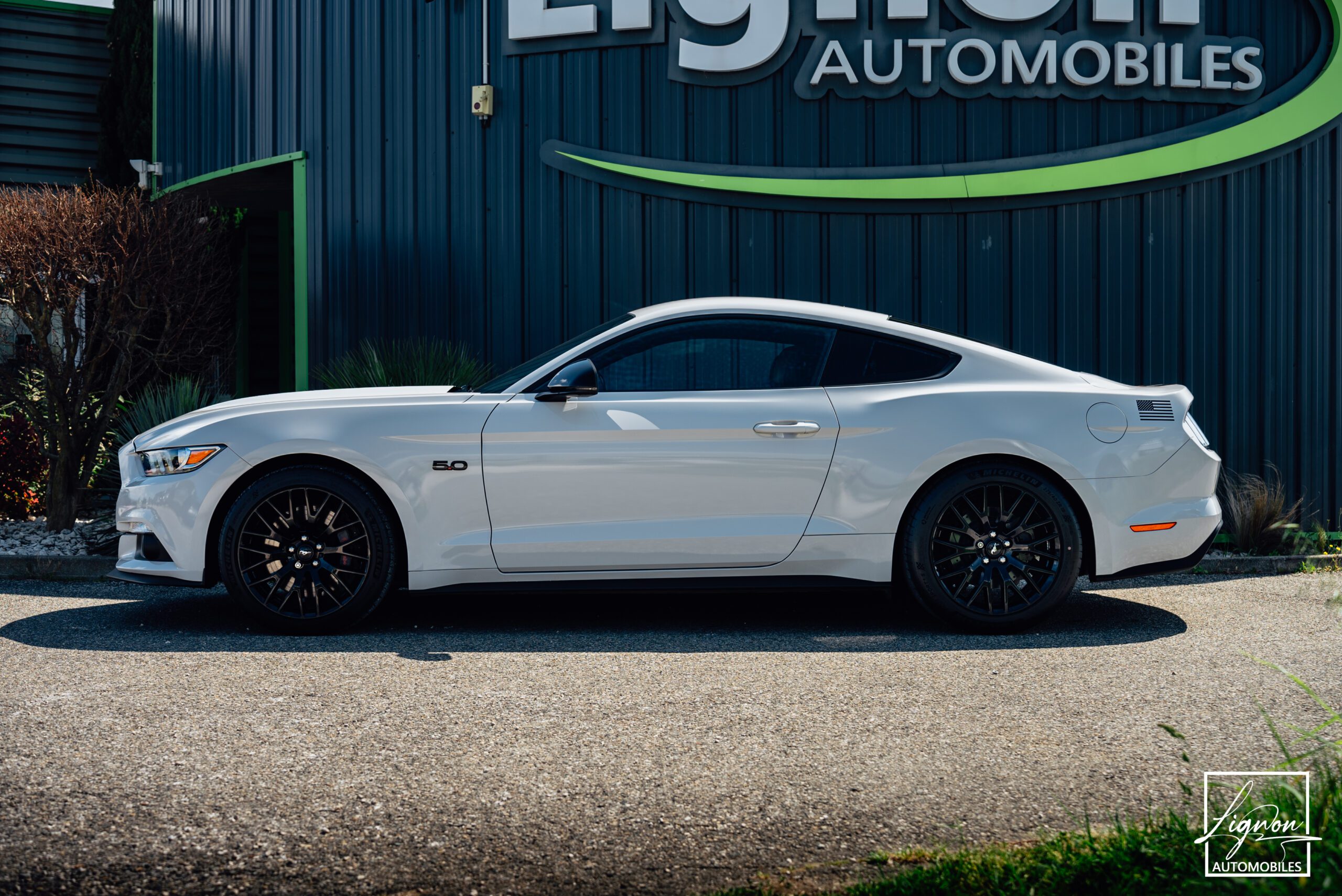 Photo Ford Mustang 5.0 v8 GT Fastback 421 ch BVA6
