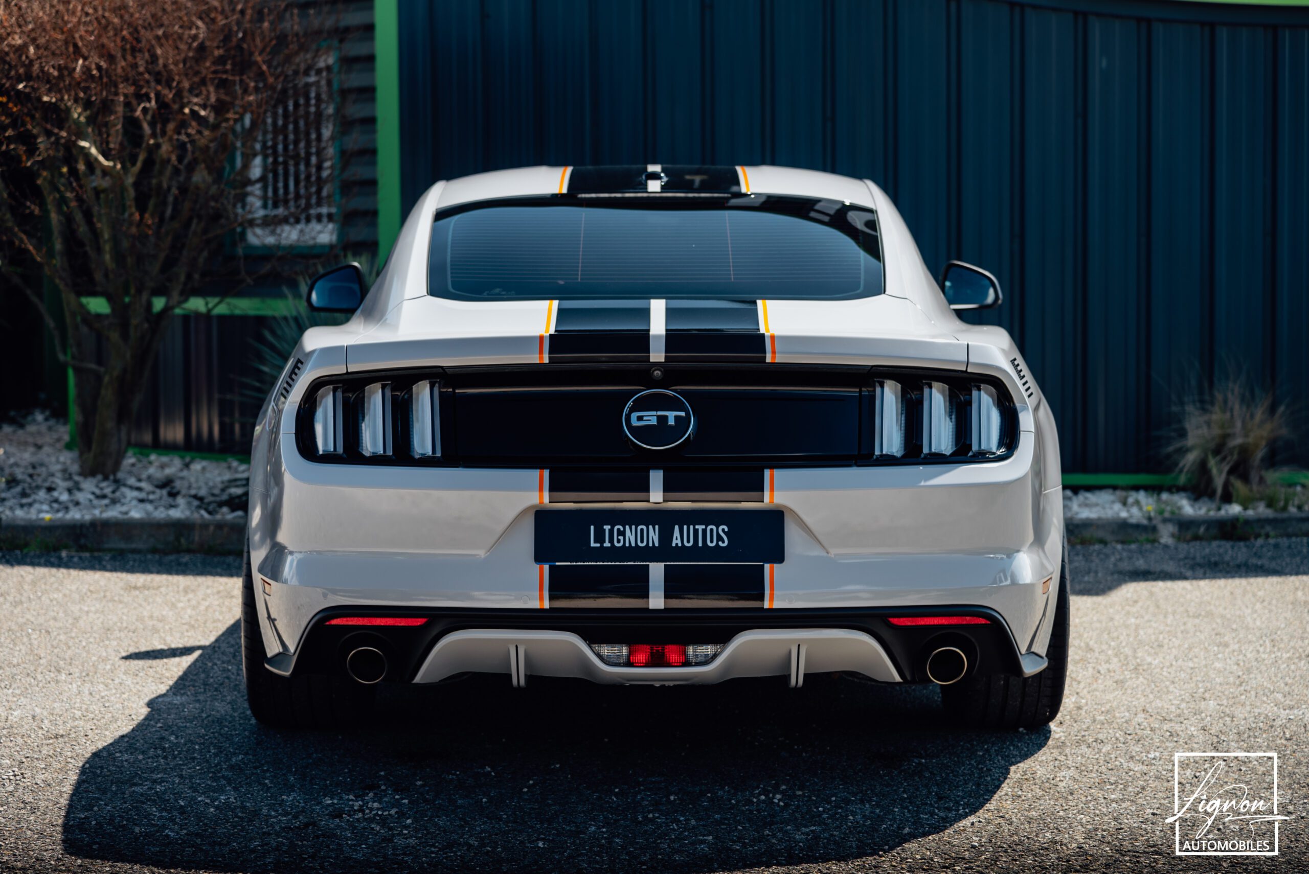 Photo Ford Mustang 5.0 v8 GT Fastback 421 ch BVA6