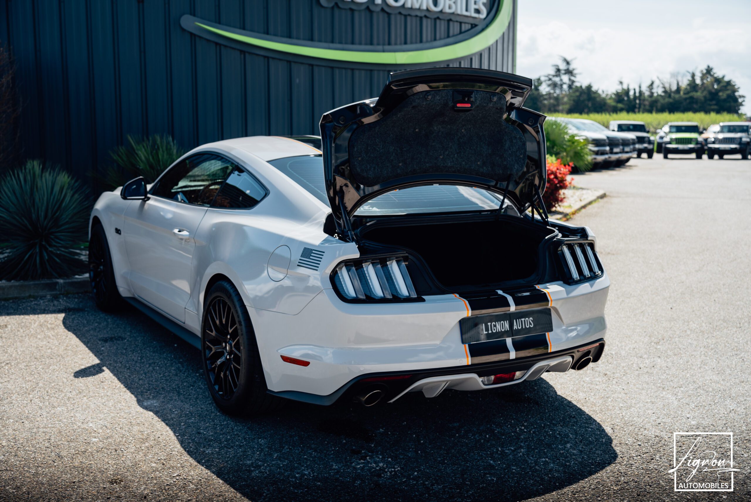 Photo Ford Mustang 5.0 v8 GT Fastback 421 ch BVA6