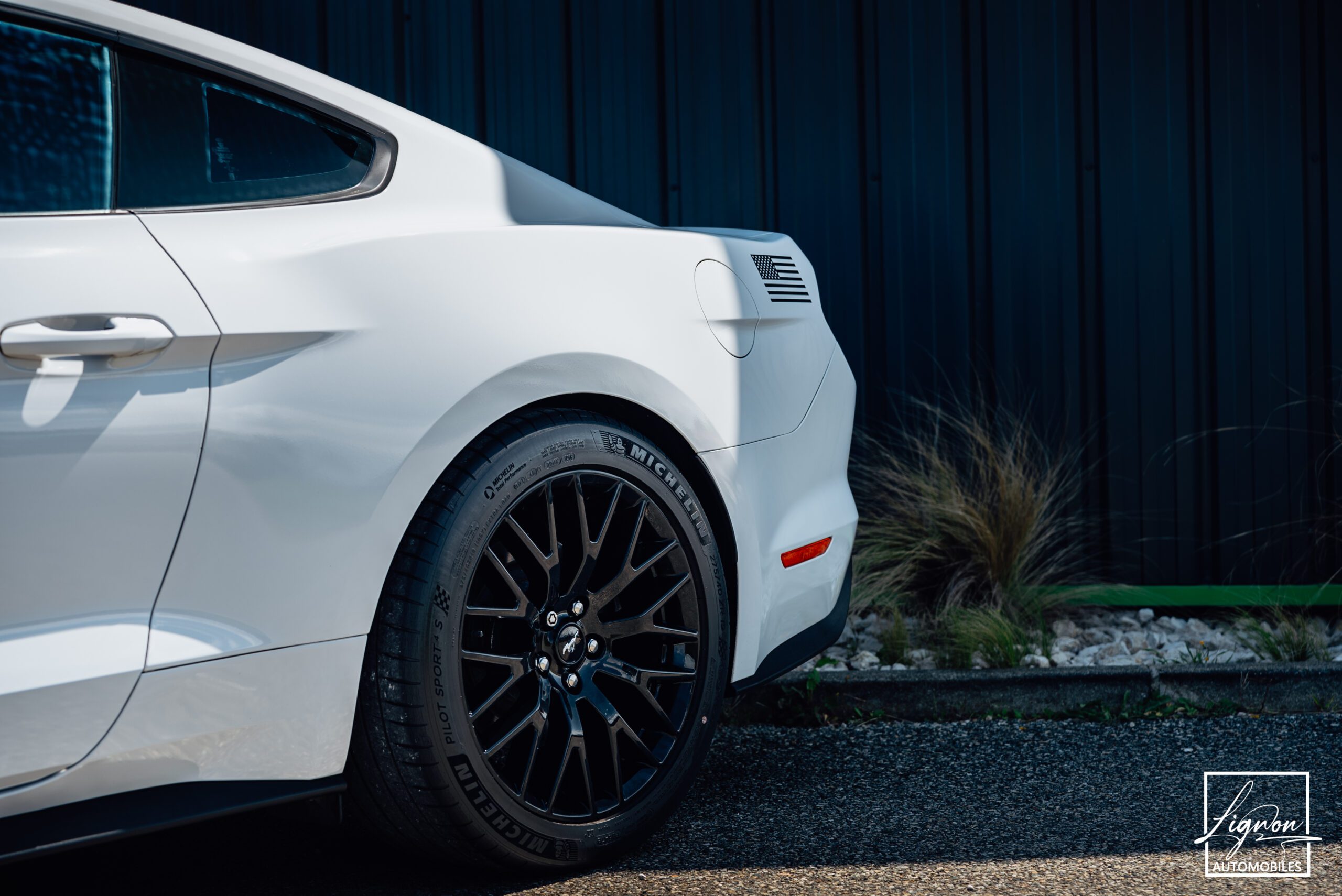 Photo Ford Mustang 5.0 v8 GT Fastback 421 ch BVA6