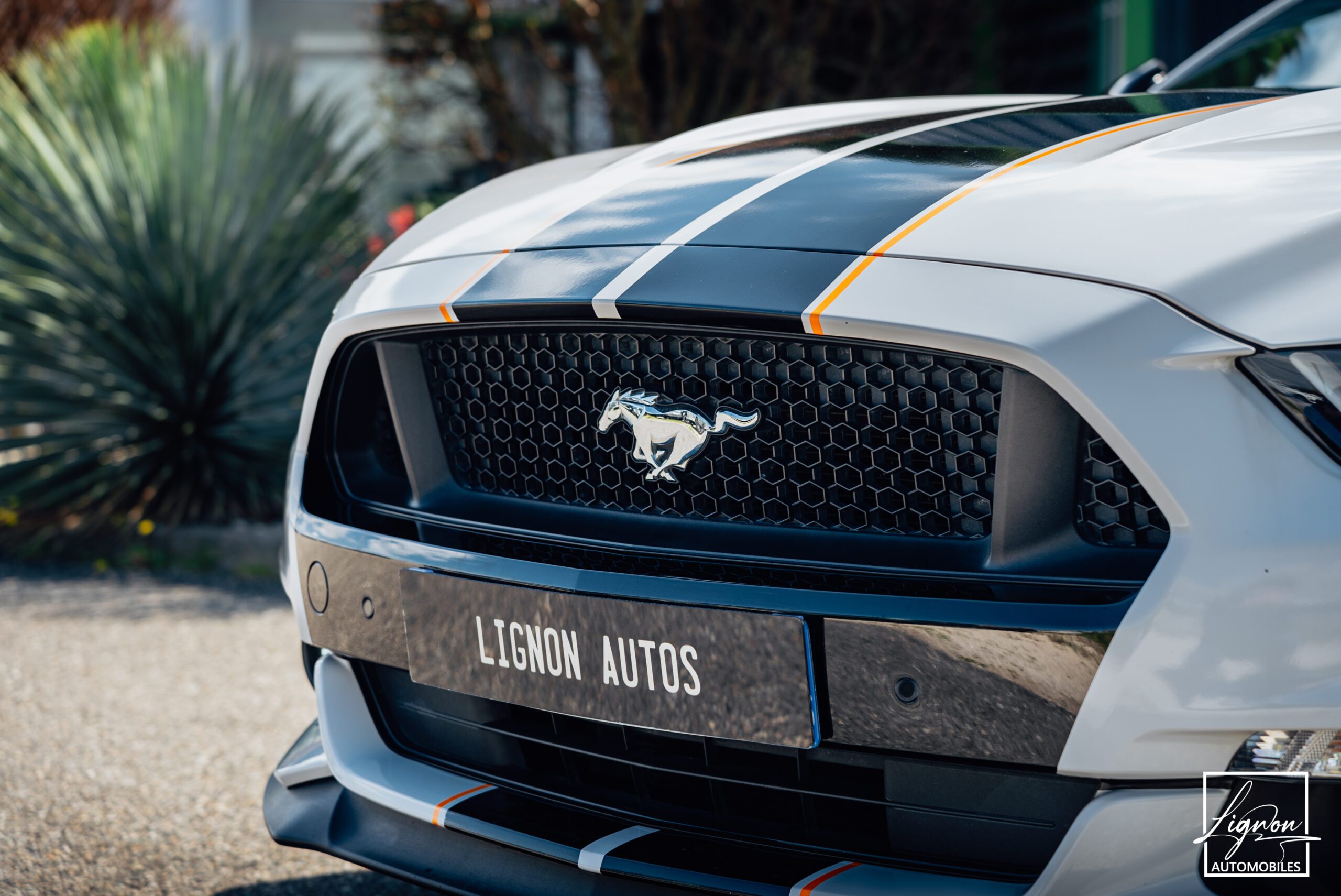 Photo Ford Mustang 5.0 v8 GT Fastback 421 ch BVA6