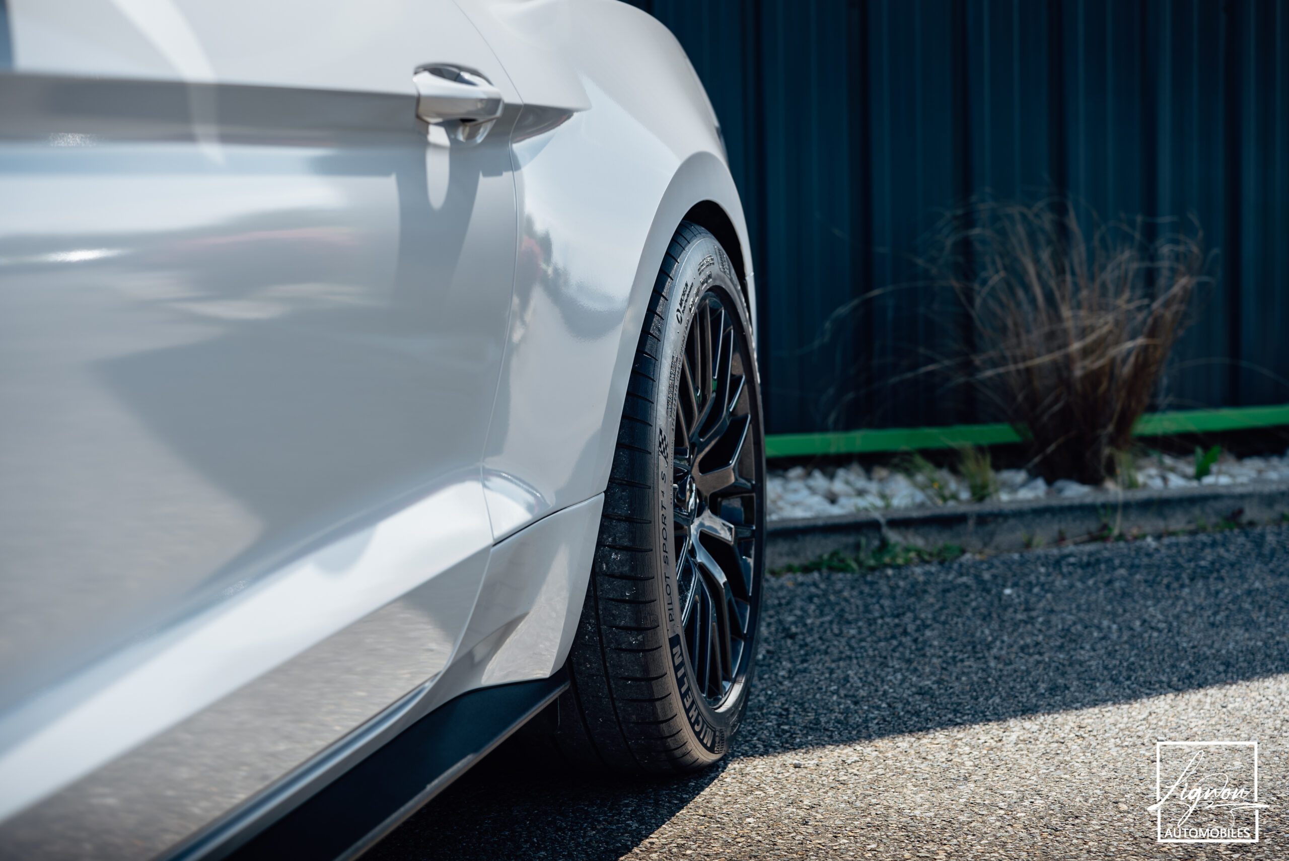 Photo Ford Mustang 5.0 v8 GT Fastback 421 ch BVA6