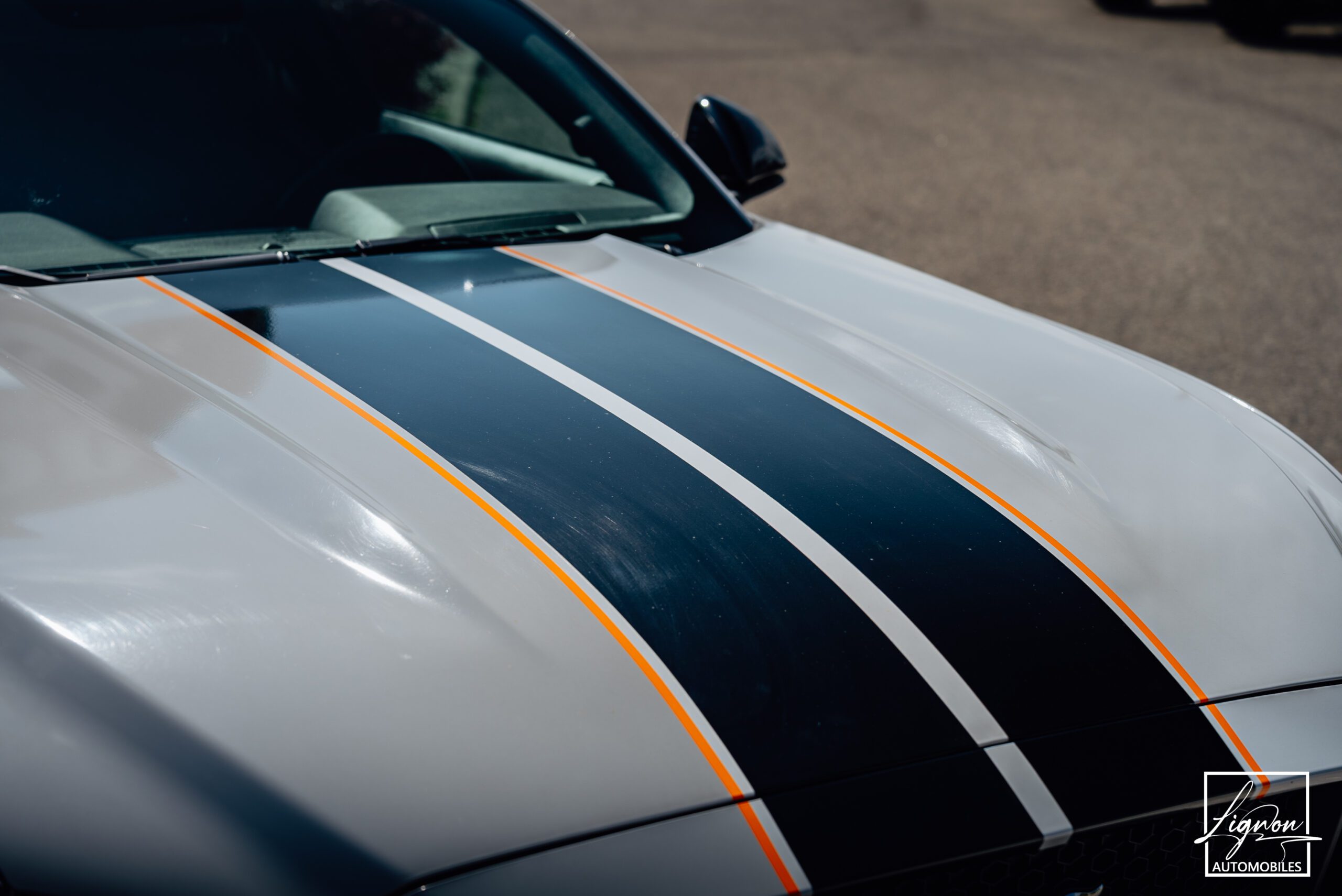 Photo Ford Mustang 5.0 v8 GT Fastback 421 ch BVA6