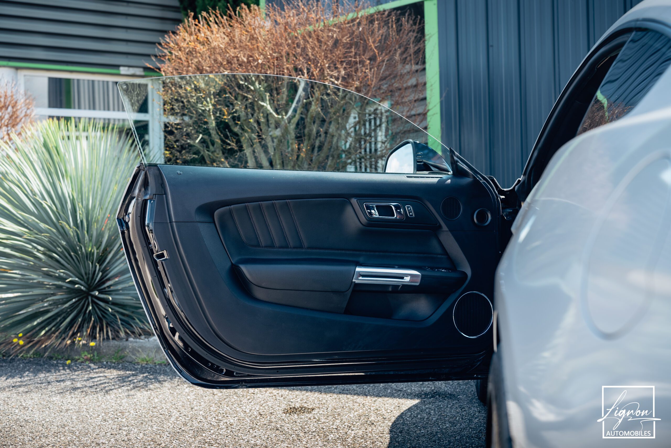 Photo Ford Mustang 5.0 v8 GT Fastback 421 ch BVA6