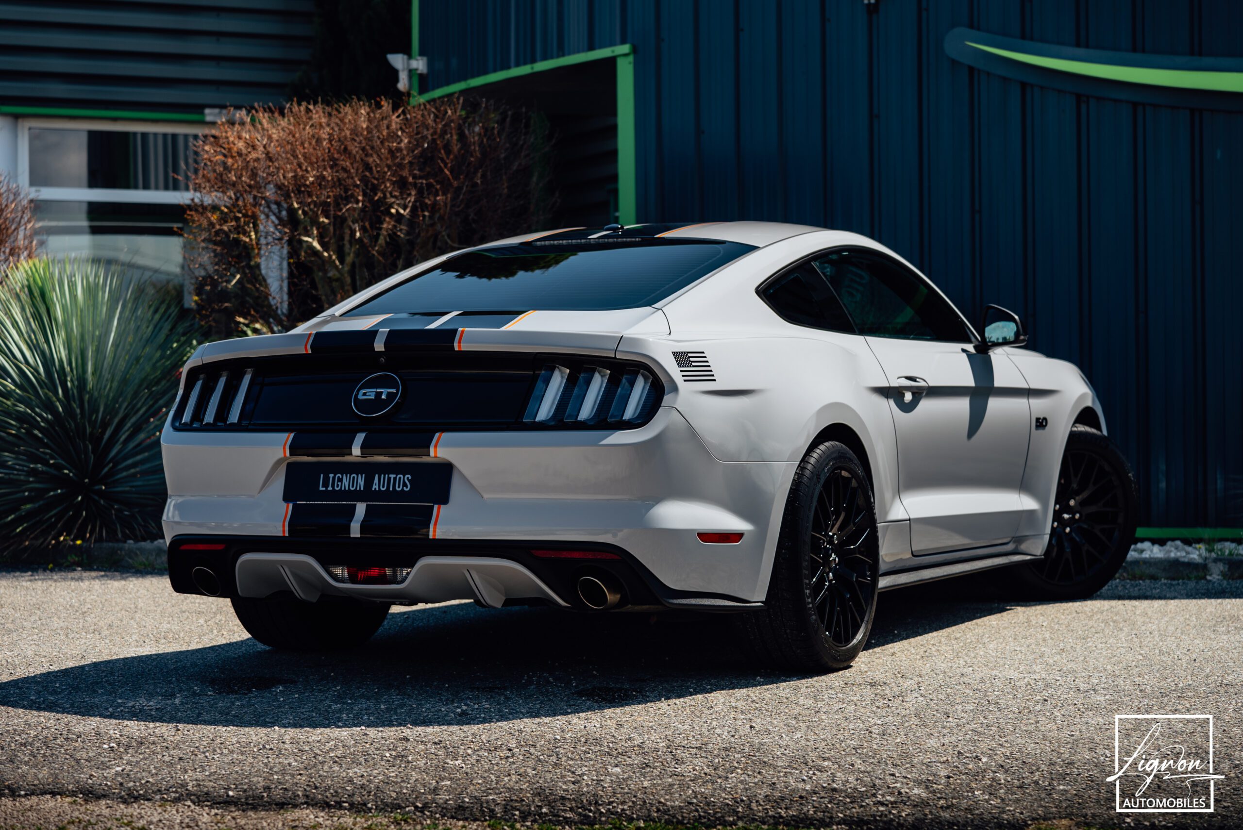 Photo Ford Mustang 5.0 v8 GT Fastback 421 ch BVA6