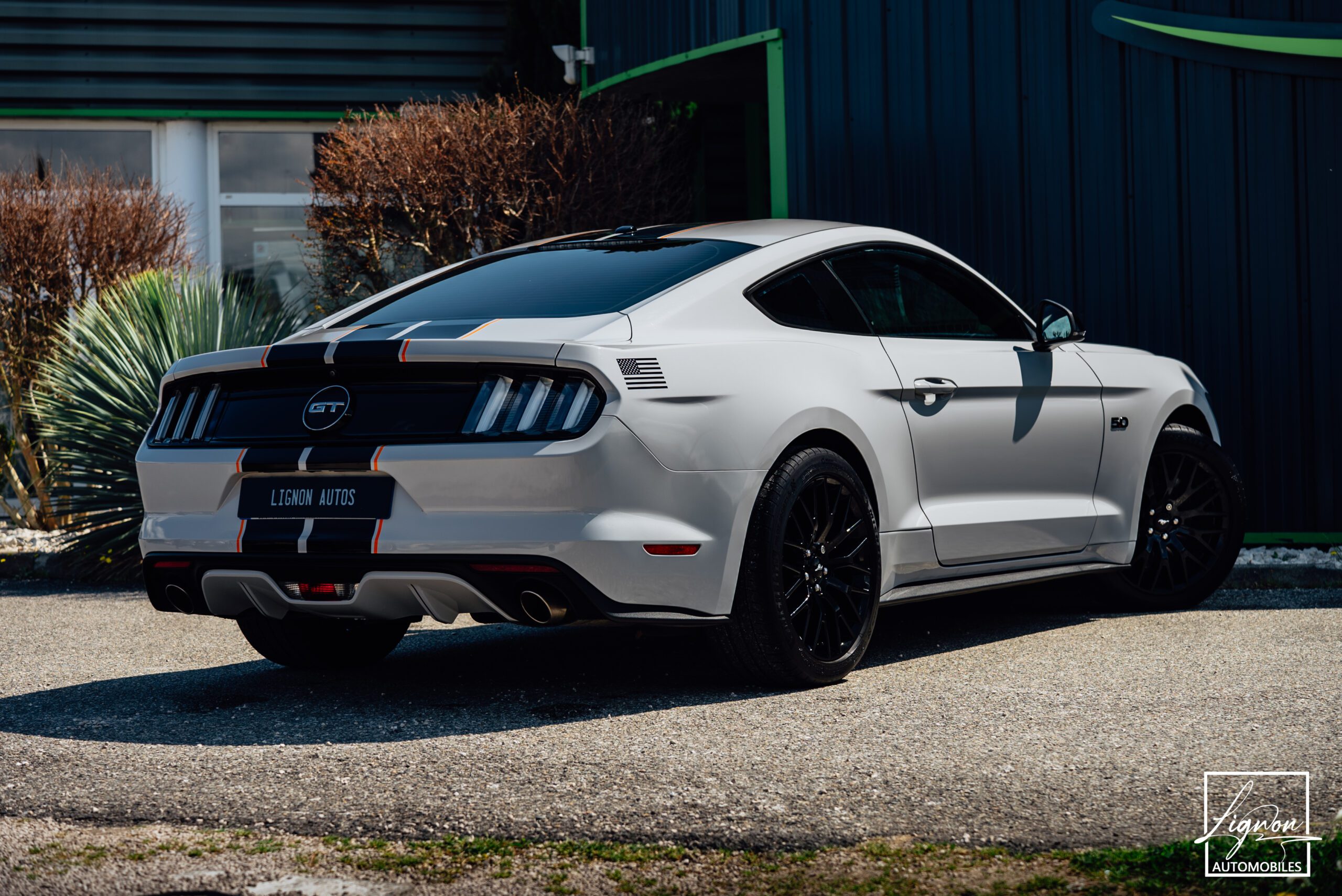 Photo Ford Mustang 5.0 v8 GT Fastback 421 ch BVA6
