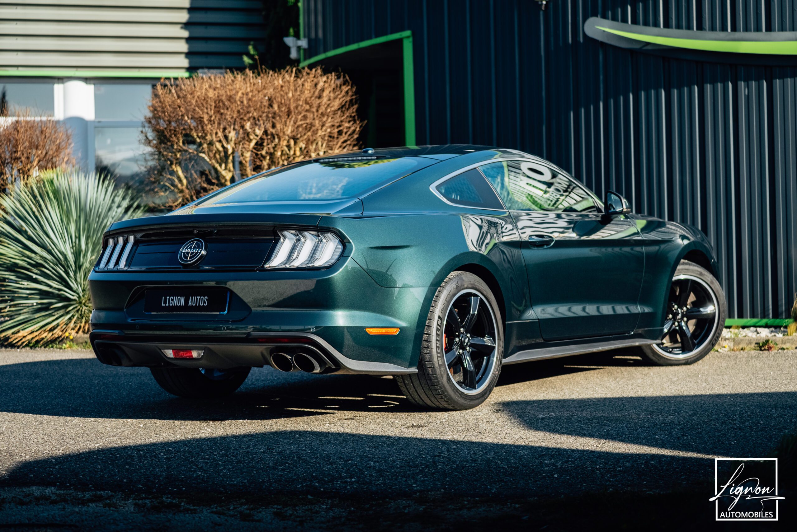 Photo Ford Mustang Bullitt Gt 5.0l V8 460 CV Avec Magneride et Pack Premium