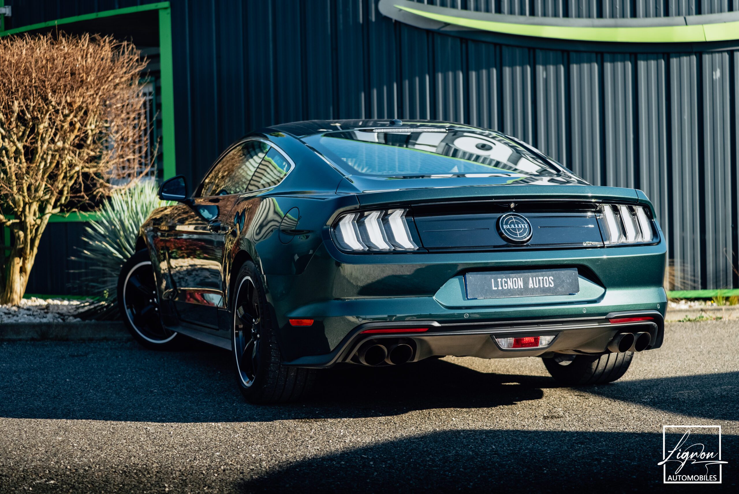 Photo Ford Mustang Bullitt Gt 5.0l V8 460 CV Avec Magneride et Pack Premium