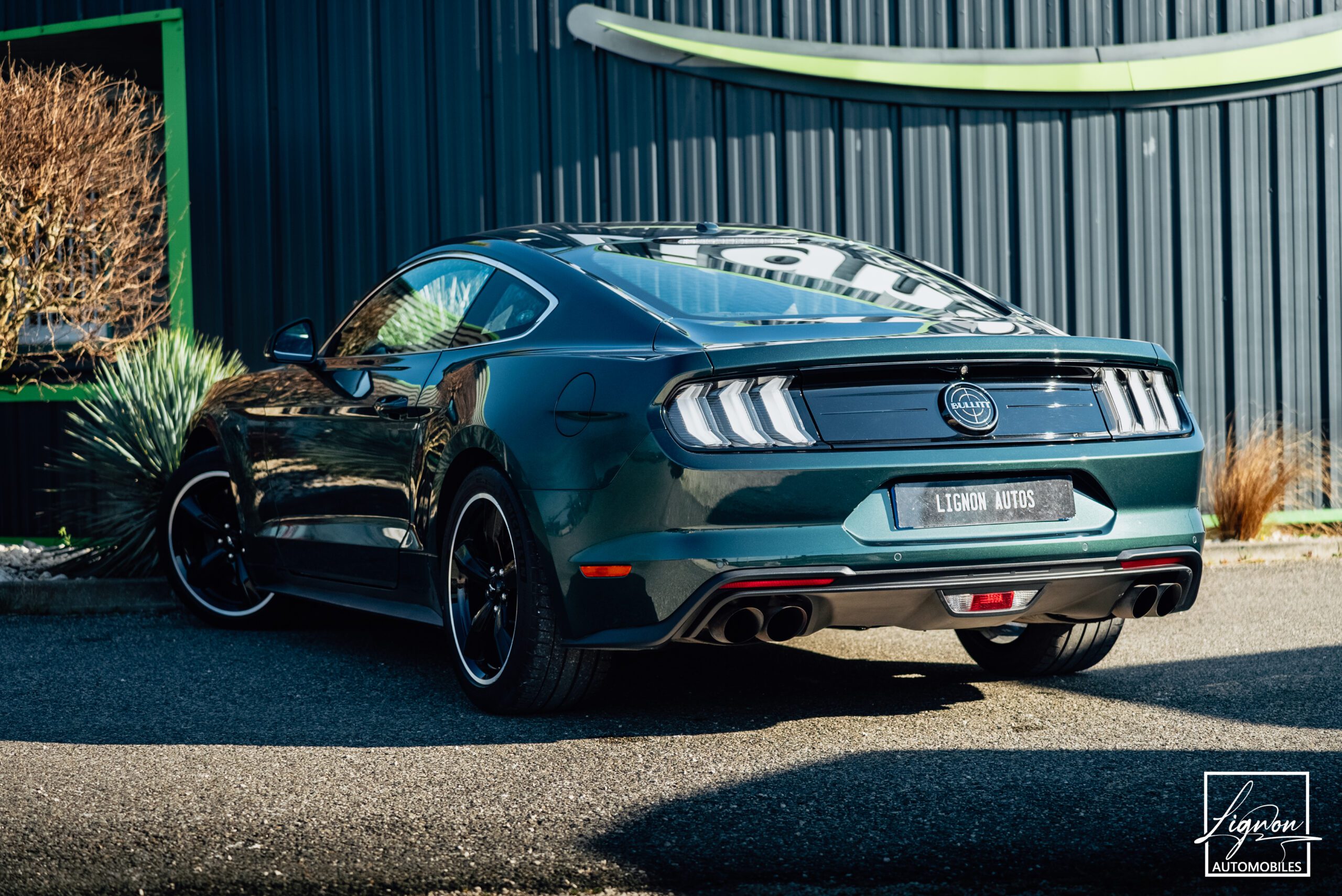 Photo Ford Mustang Bullitt Gt 5.0l V8 460 CV Avec Magneride et Pack Premium