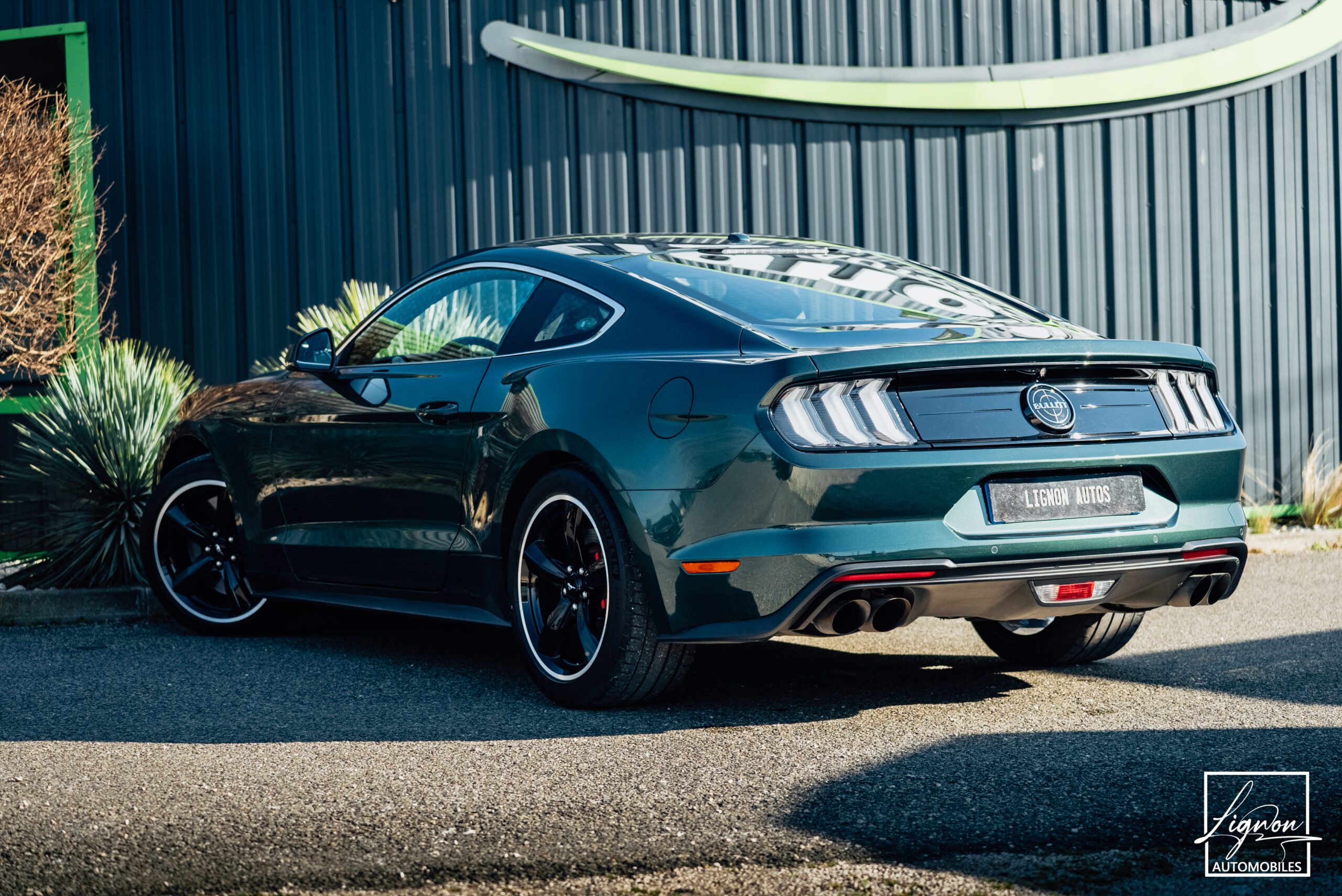 Photo Ford Mustang Bullitt Gt 5.0l V8 460 CV Avec Magneride et Pack Premium