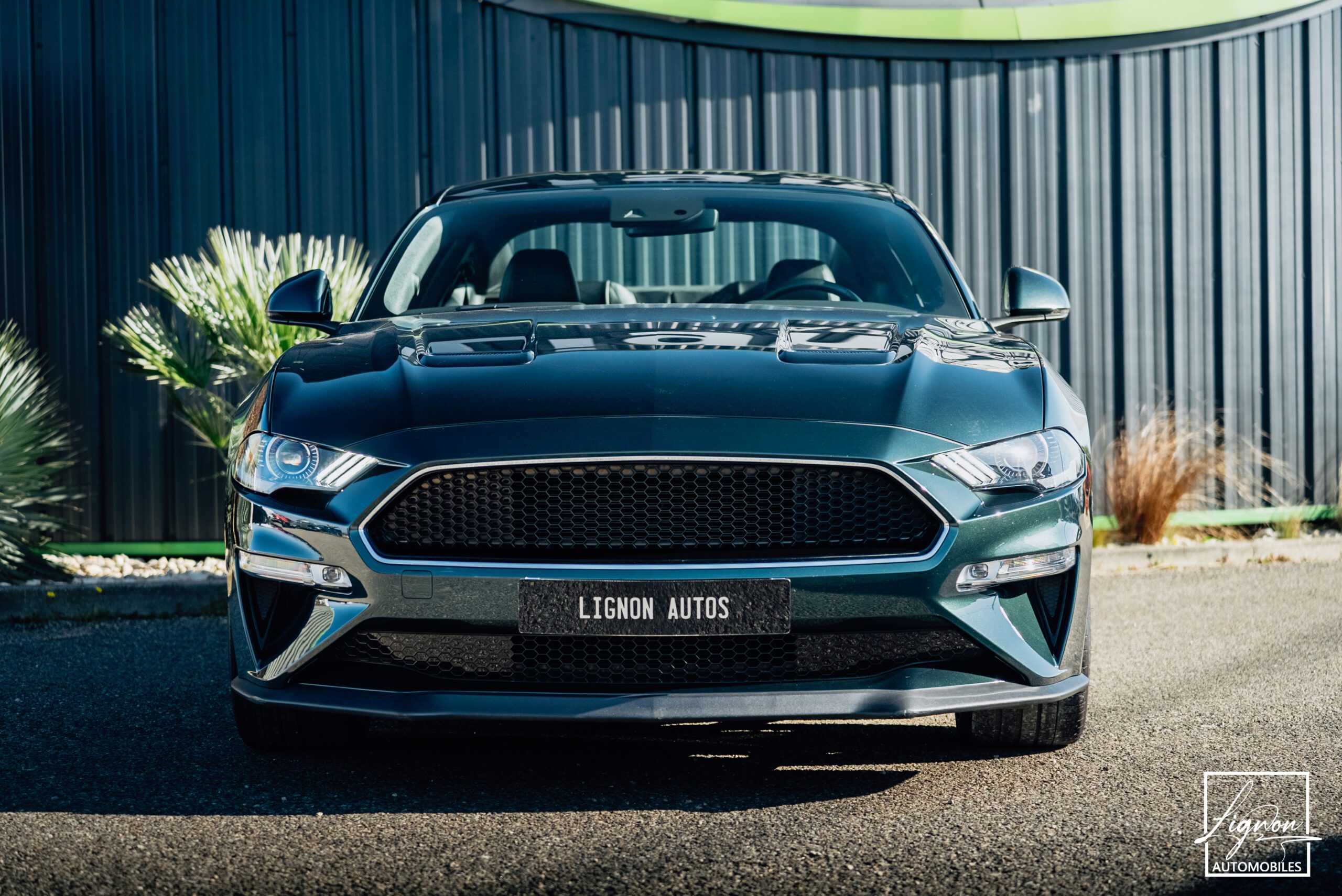 Photo Ford Mustang Bullitt Gt 5.0l V8 460 CV Avec Magneride et Pack Premium
