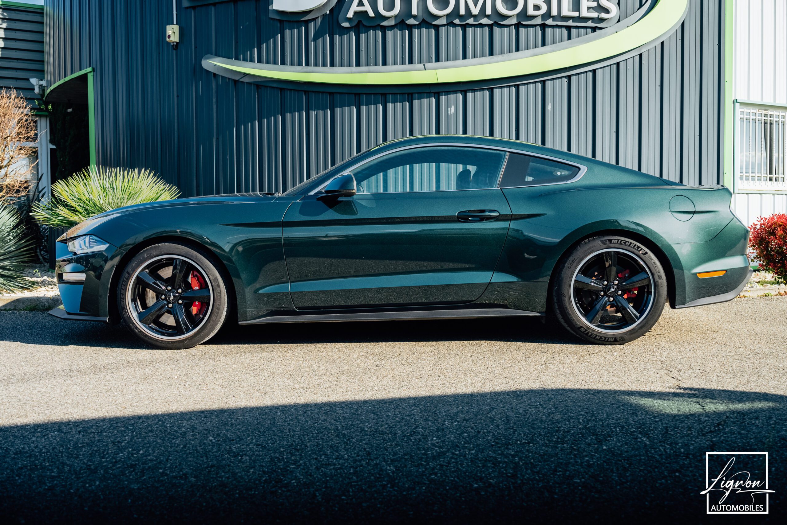 Photo Ford Mustang Bullitt Gt 5.0l V8 460 CV Avec Magneride et Pack Premium