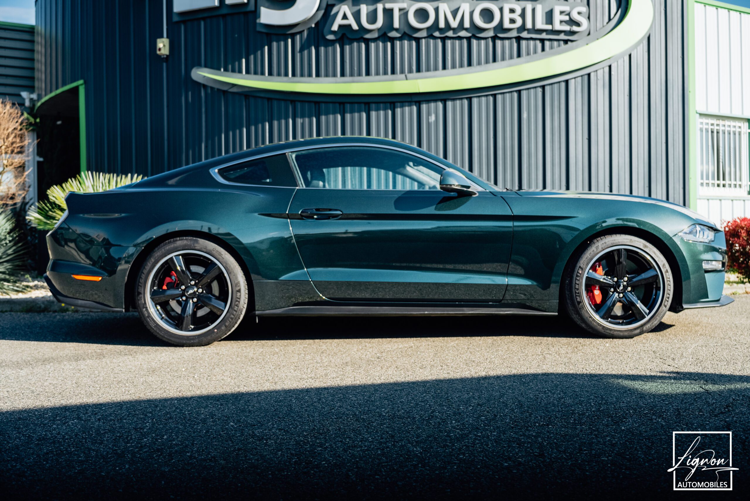 Photo Ford Mustang Bullitt Gt 5.0l V8 460 CV Avec Magneride et Pack Premium