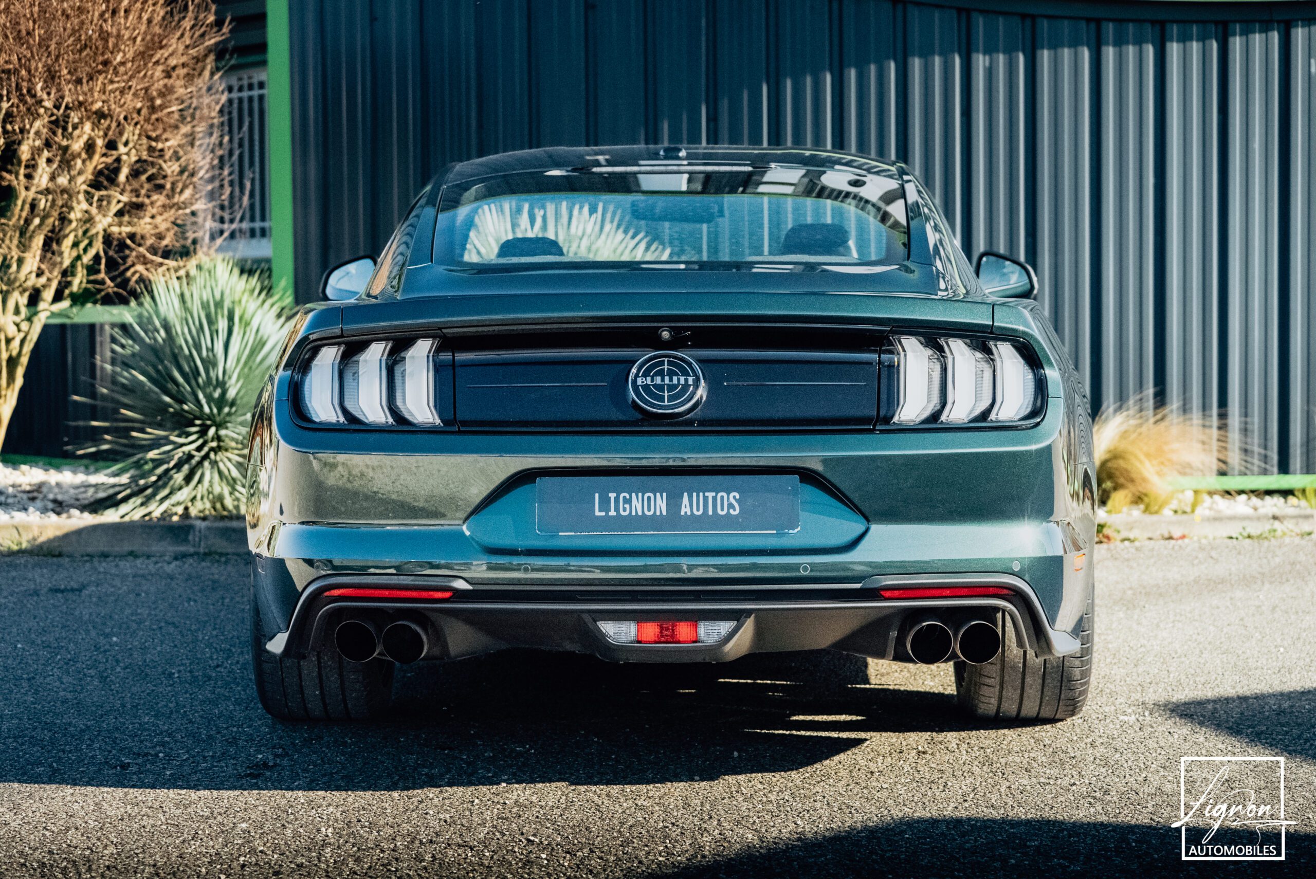 Photo Ford Mustang Bullitt Gt 5.0l V8 460 CV Avec Magneride et Pack Premium