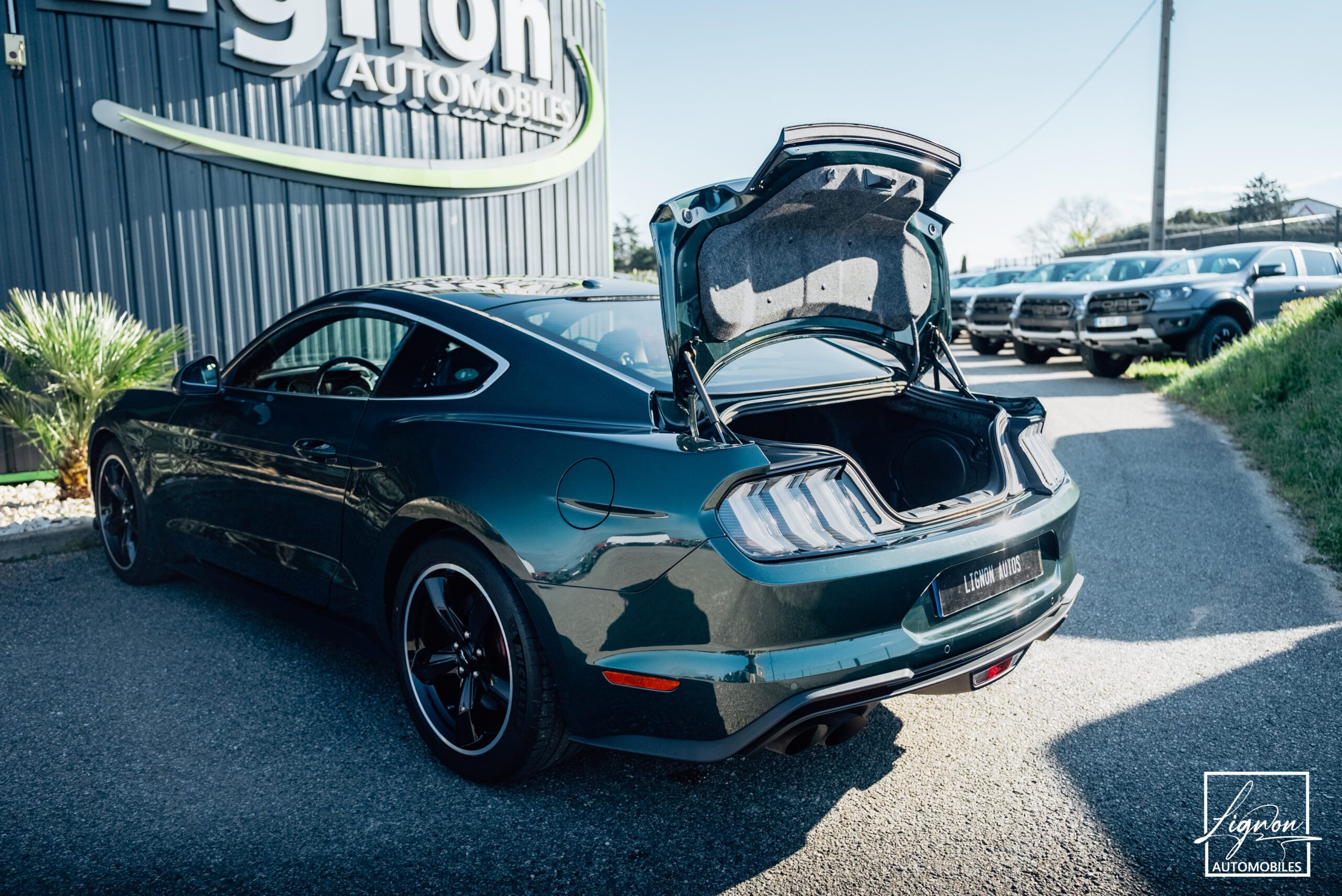 Photo Ford Mustang Bullitt Gt 5.0l V8 460 CV Avec Magneride et Pack Premium