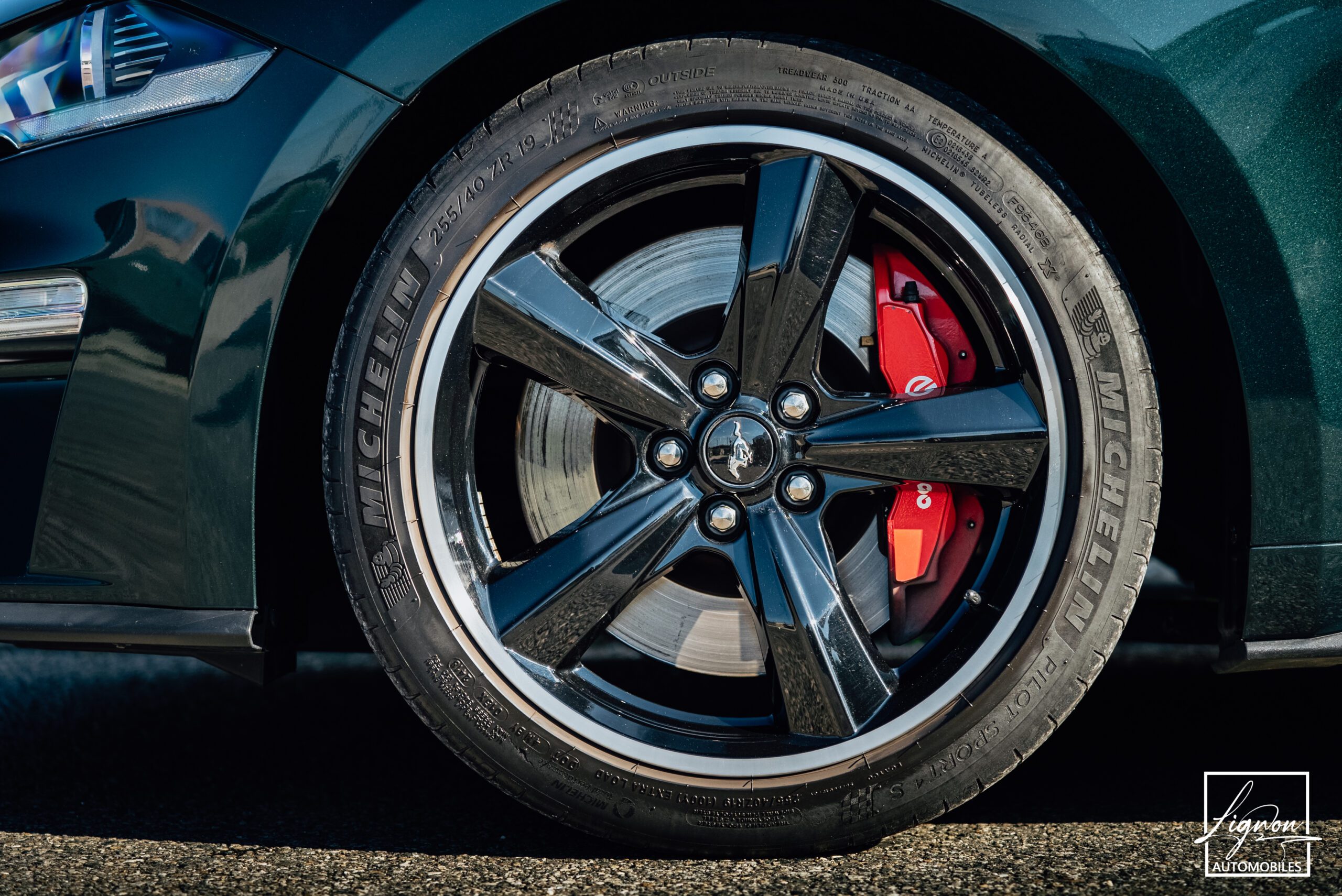 Photo Ford Mustang Bullitt Gt 5.0l V8 460 CV Avec Magneride et Pack Premium