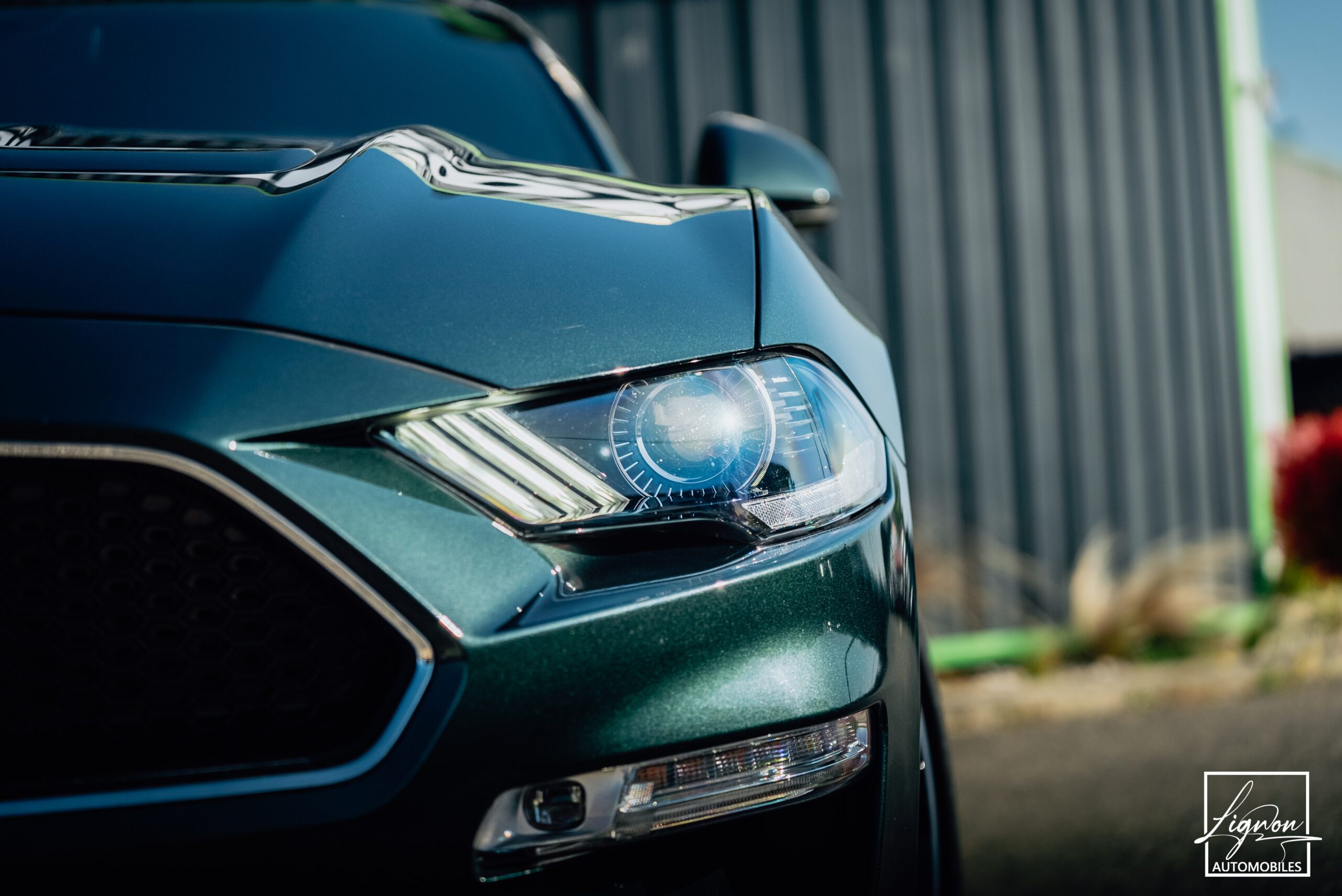 Photo Ford Mustang Bullitt Gt 5.0l V8 460 CV Avec Magneride et Pack Premium