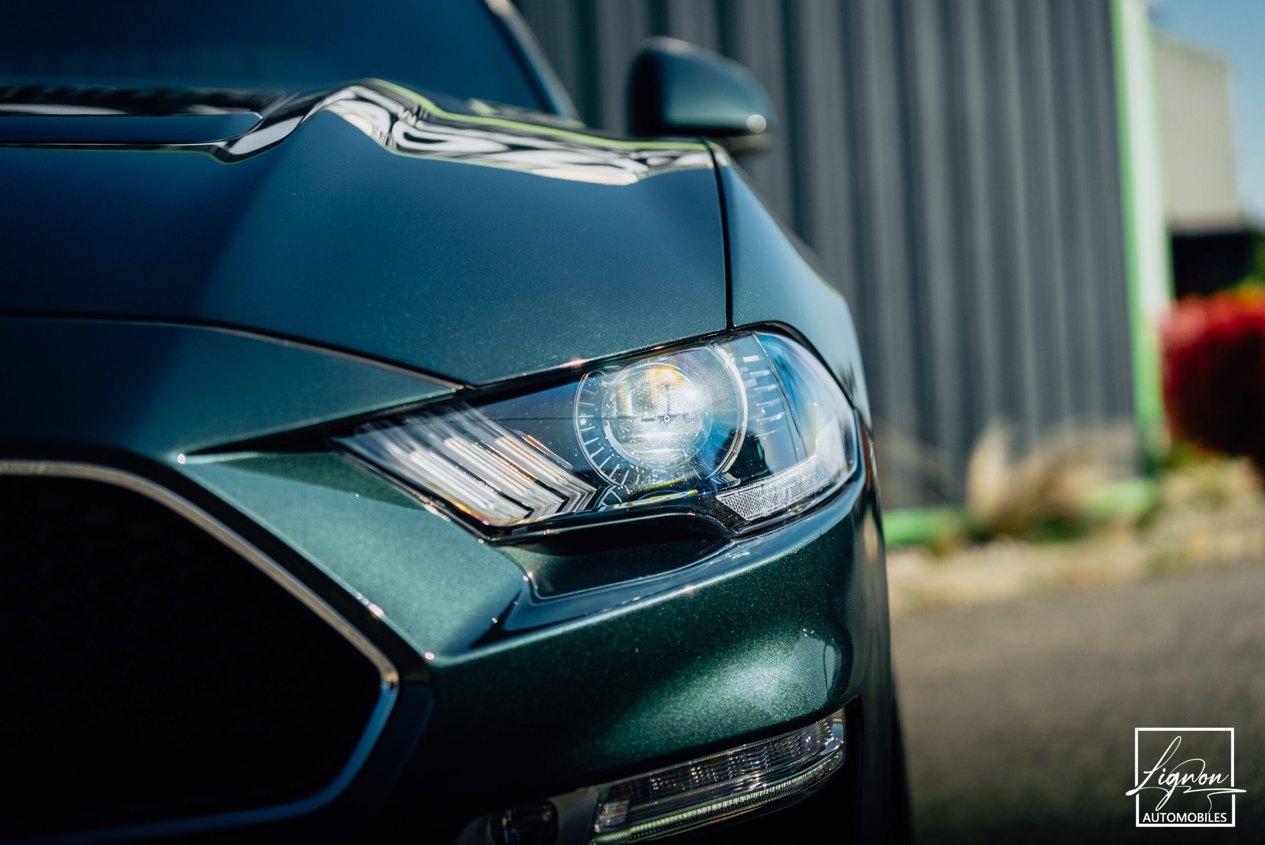 Photo Ford Mustang Bullitt Gt 5.0l V8 460 CV Avec Magneride et Pack Premium