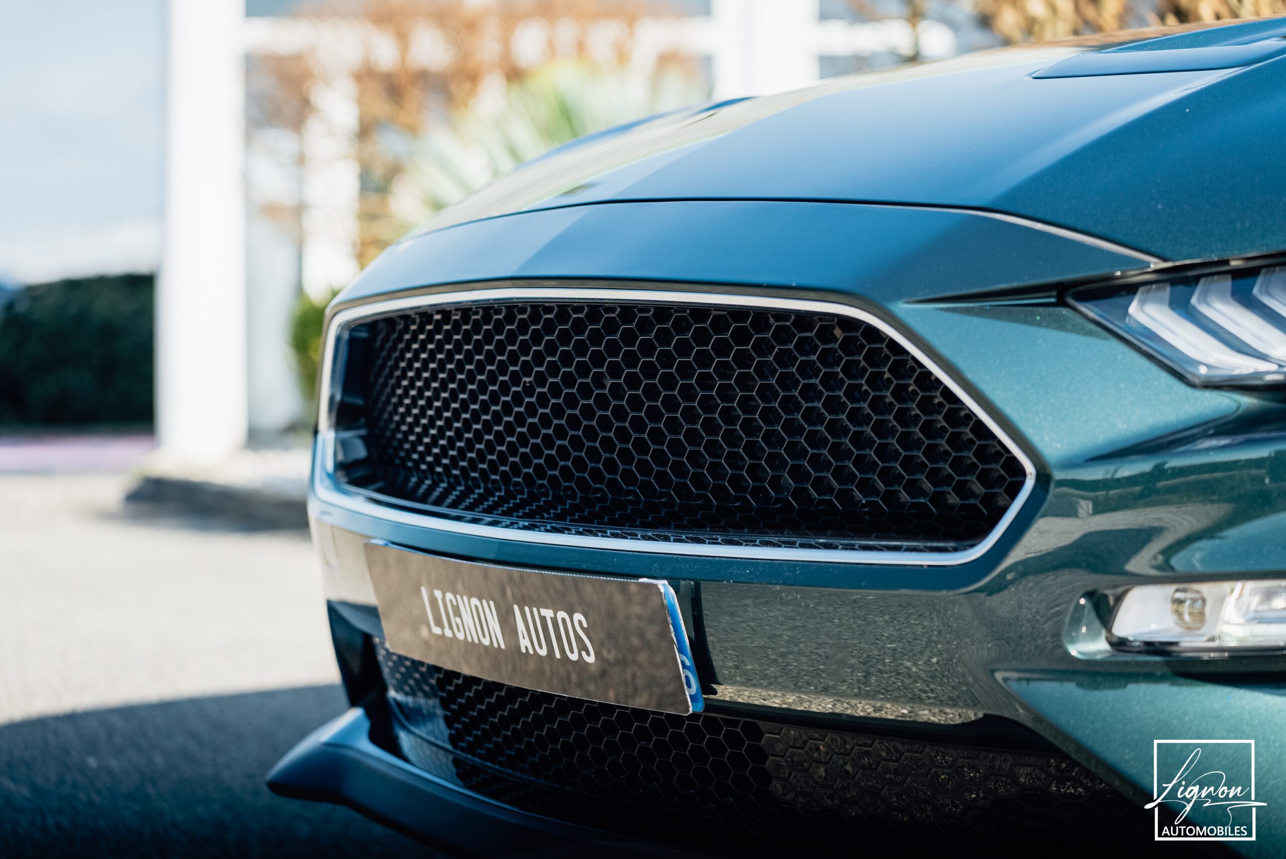 Photo Ford Mustang Bullitt Gt 5.0l V8 460 CV Avec Magneride et Pack Premium