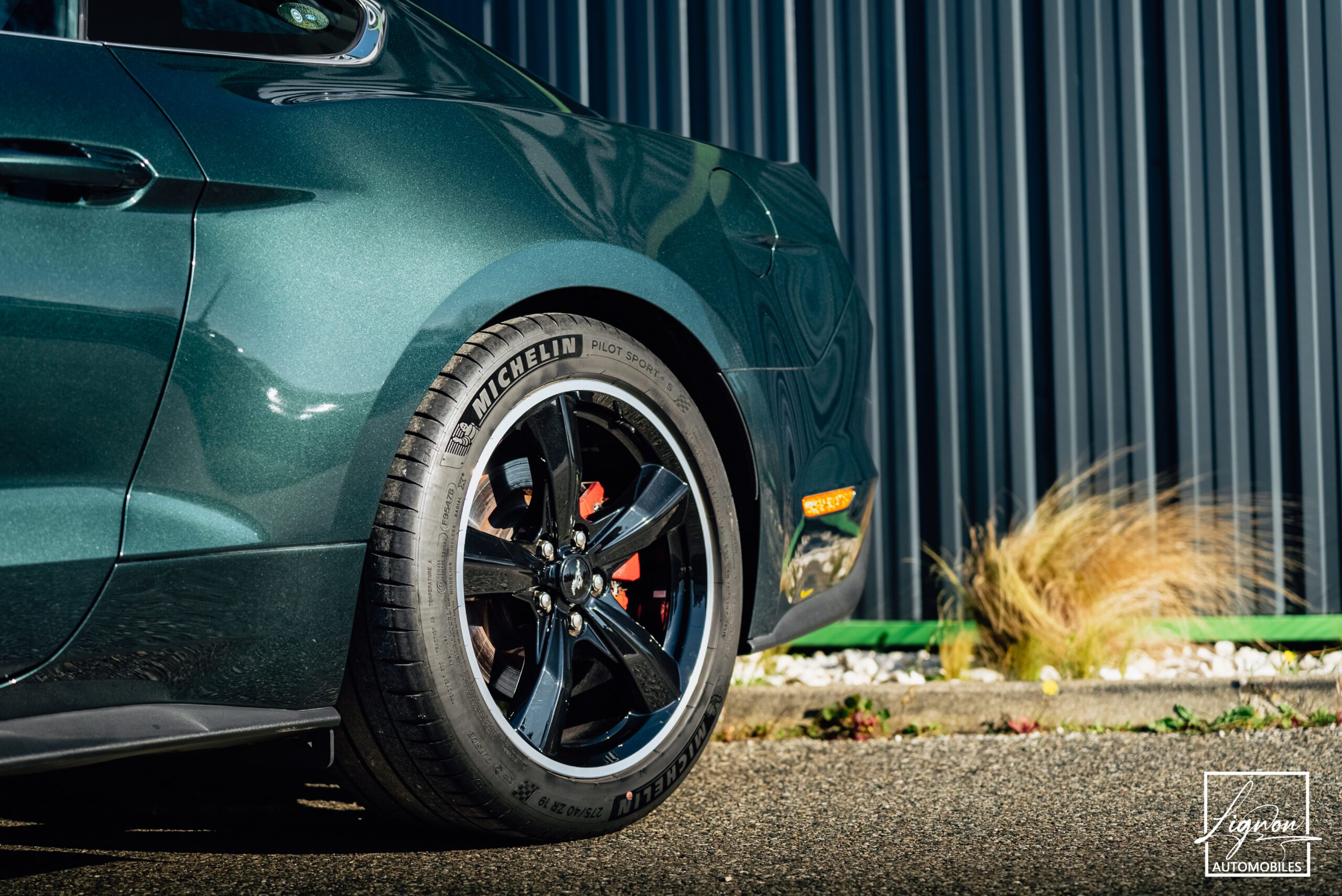 Photo Ford Mustang Bullitt Gt 5.0l V8 460 CV Avec Magneride et Pack Premium