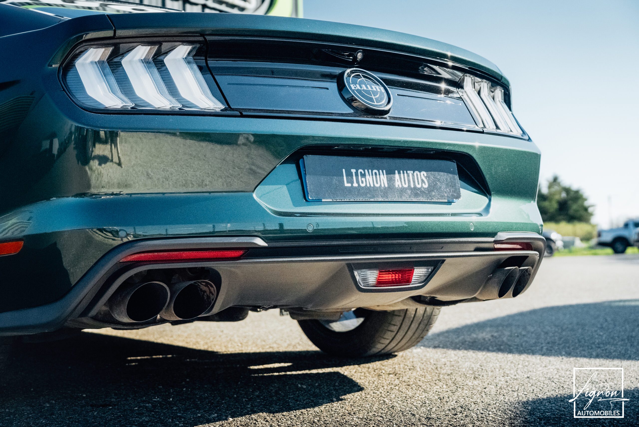 Photo Ford Mustang Bullitt Gt 5.0l V8 460 CV Avec Magneride et Pack Premium