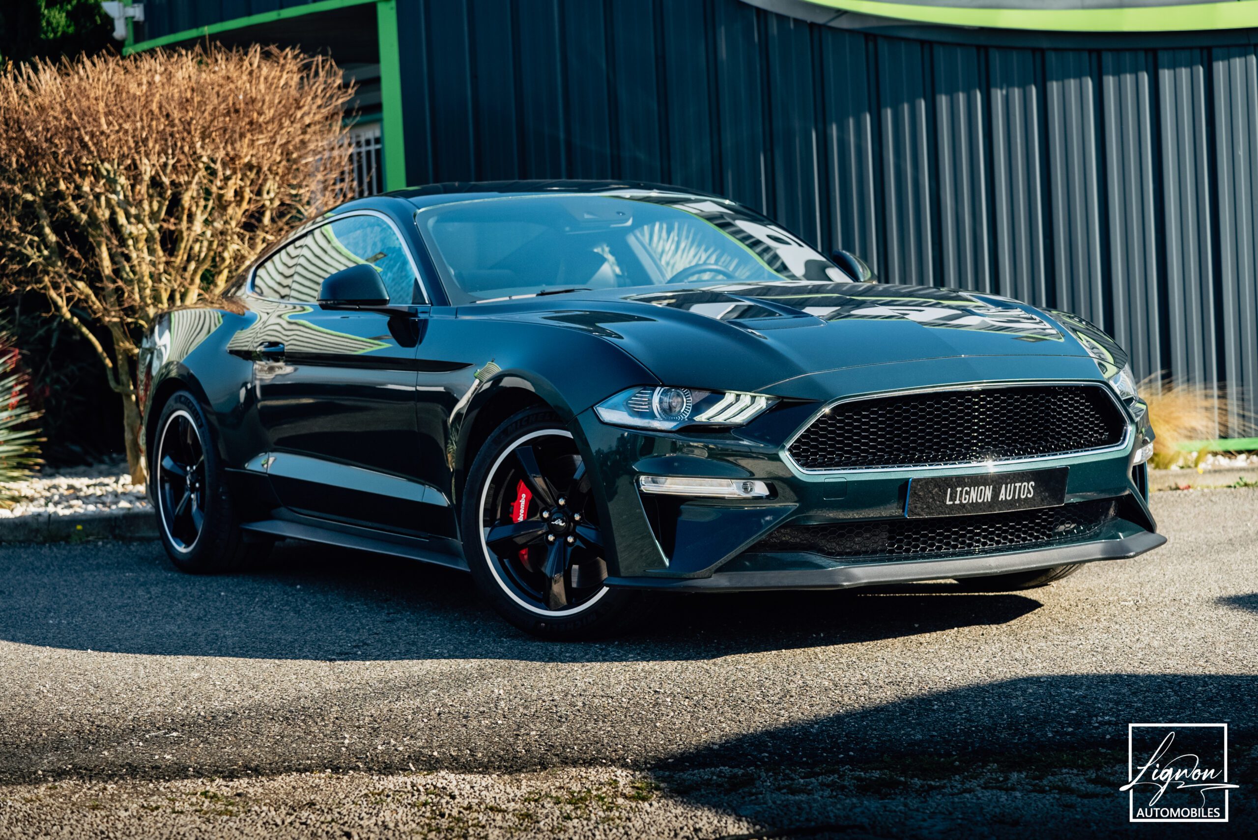 Ford Mustang Bullitt Gt 5.0l V8 460 CV Avec Magneride et Pack Premium