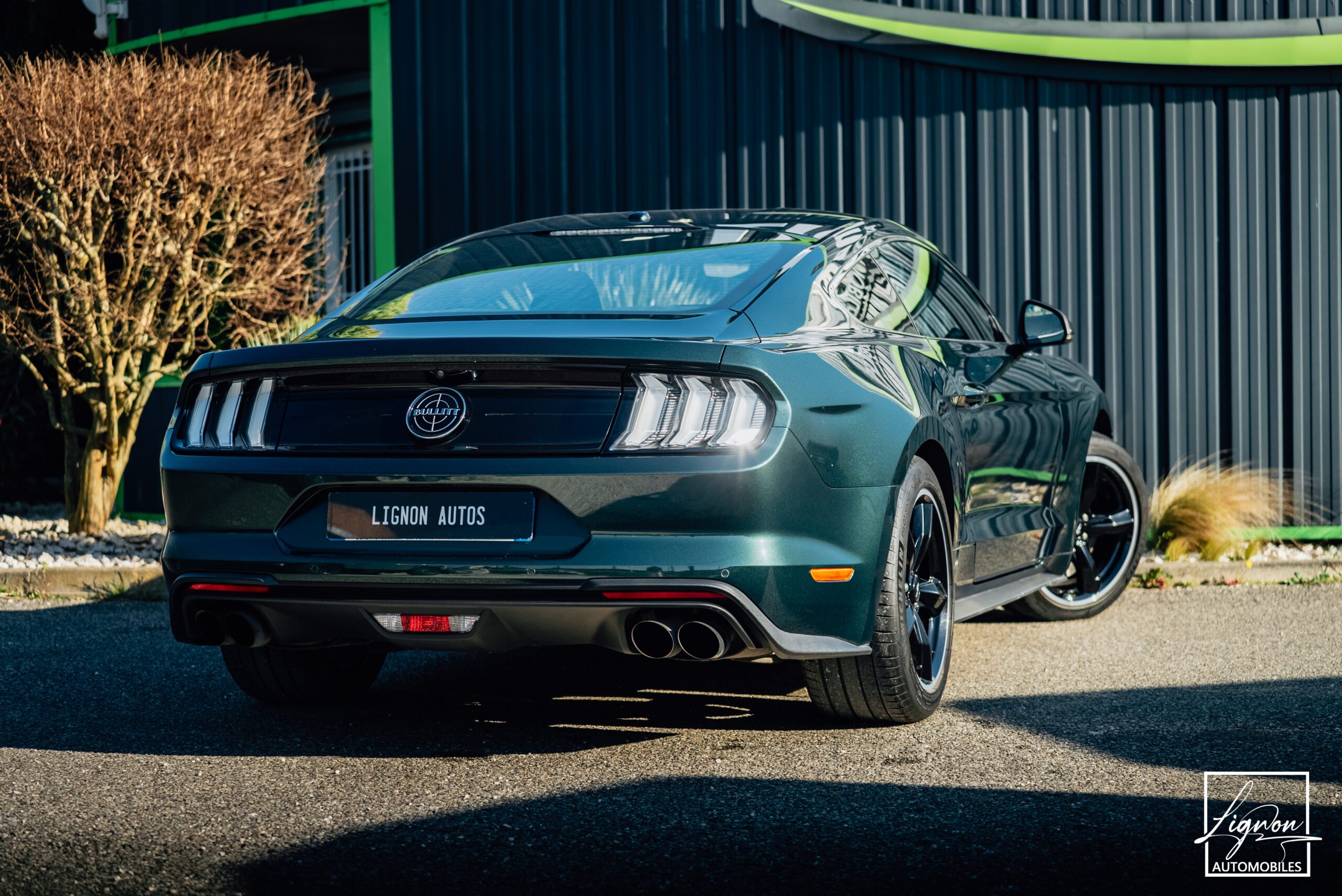 Photo Ford Mustang Bullitt Gt 5.0l V8 460 CV Avec Magneride et Pack Premium
