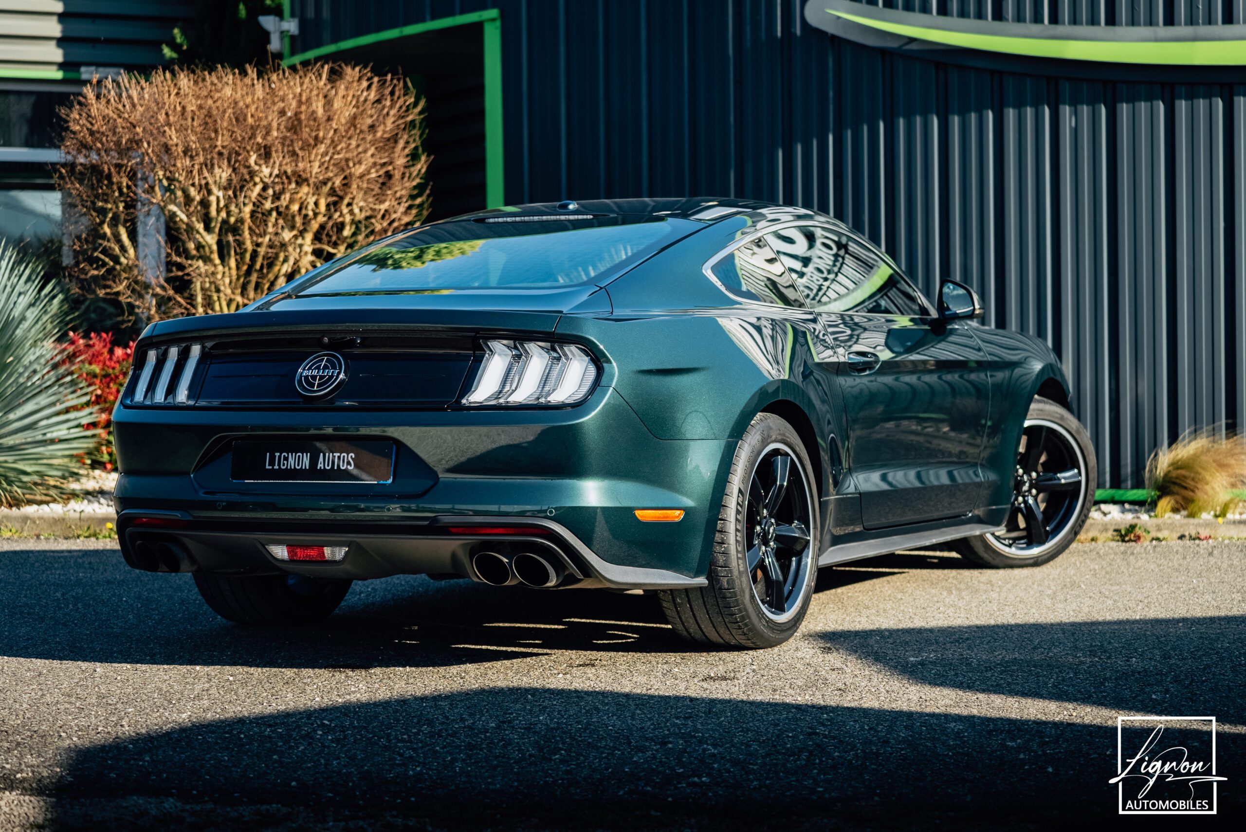 Photo Ford Mustang Bullitt Gt 5.0l V8 460 CV Avec Magneride et Pack Premium