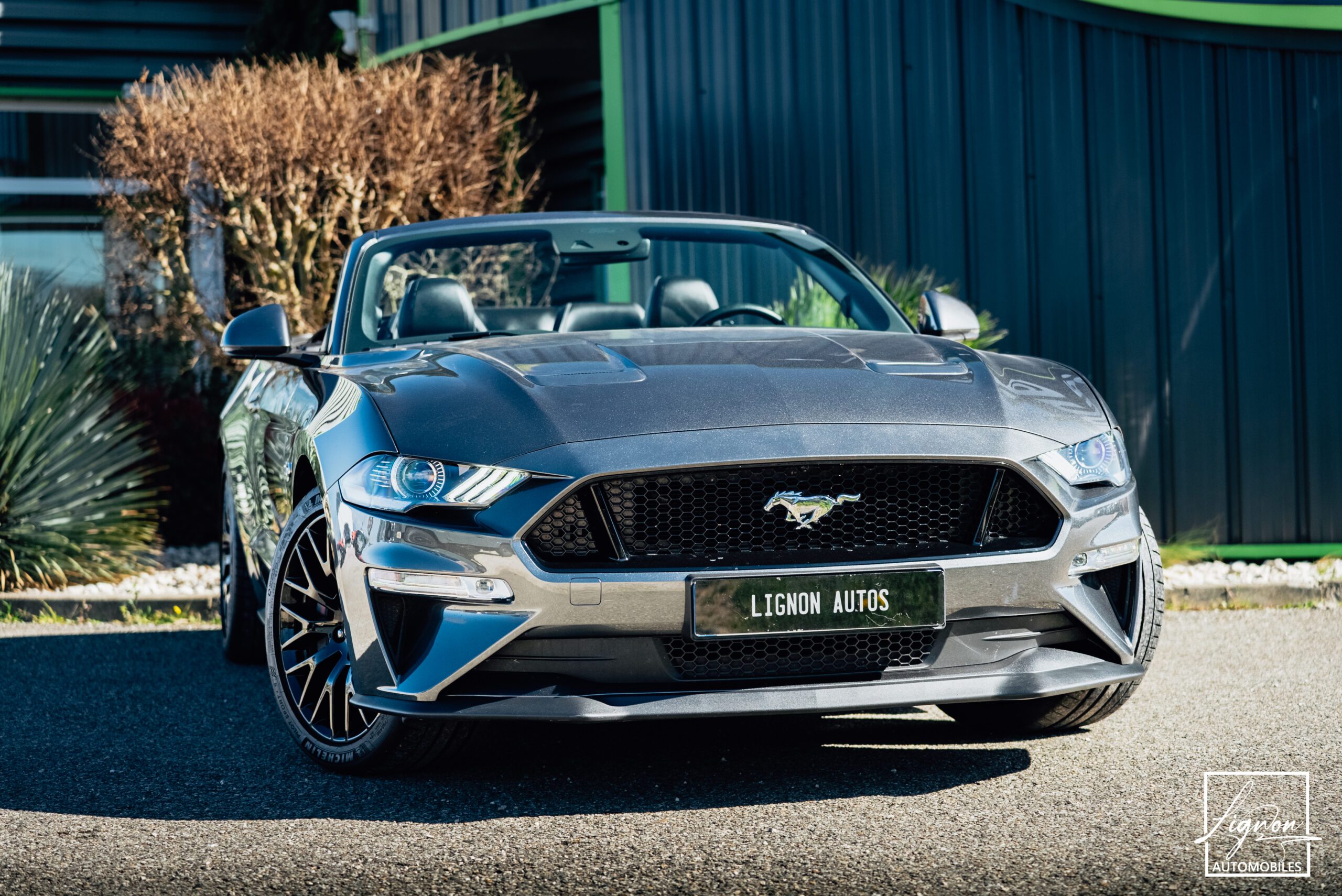 Photo Ford Mustang Cabriolet 5.0 v8 GT 450 CH BVA10 - 1er main