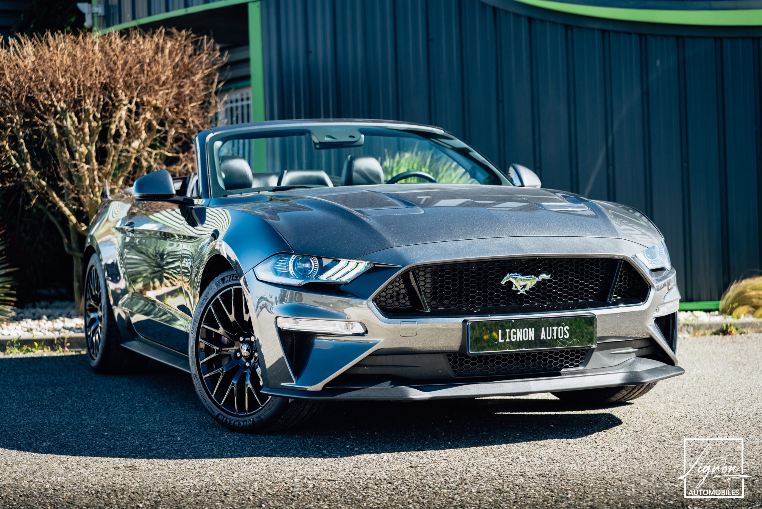 Photo Ford Mustang Cabriolet 5.0 v8 GT 450 CH BVA10 - 1er main