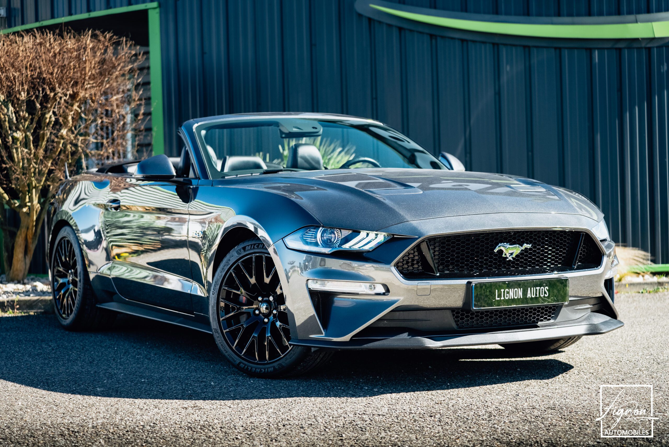 Photo Ford Mustang Cabriolet 5.0 v8 GT 450 CH BVA10 - 1er main