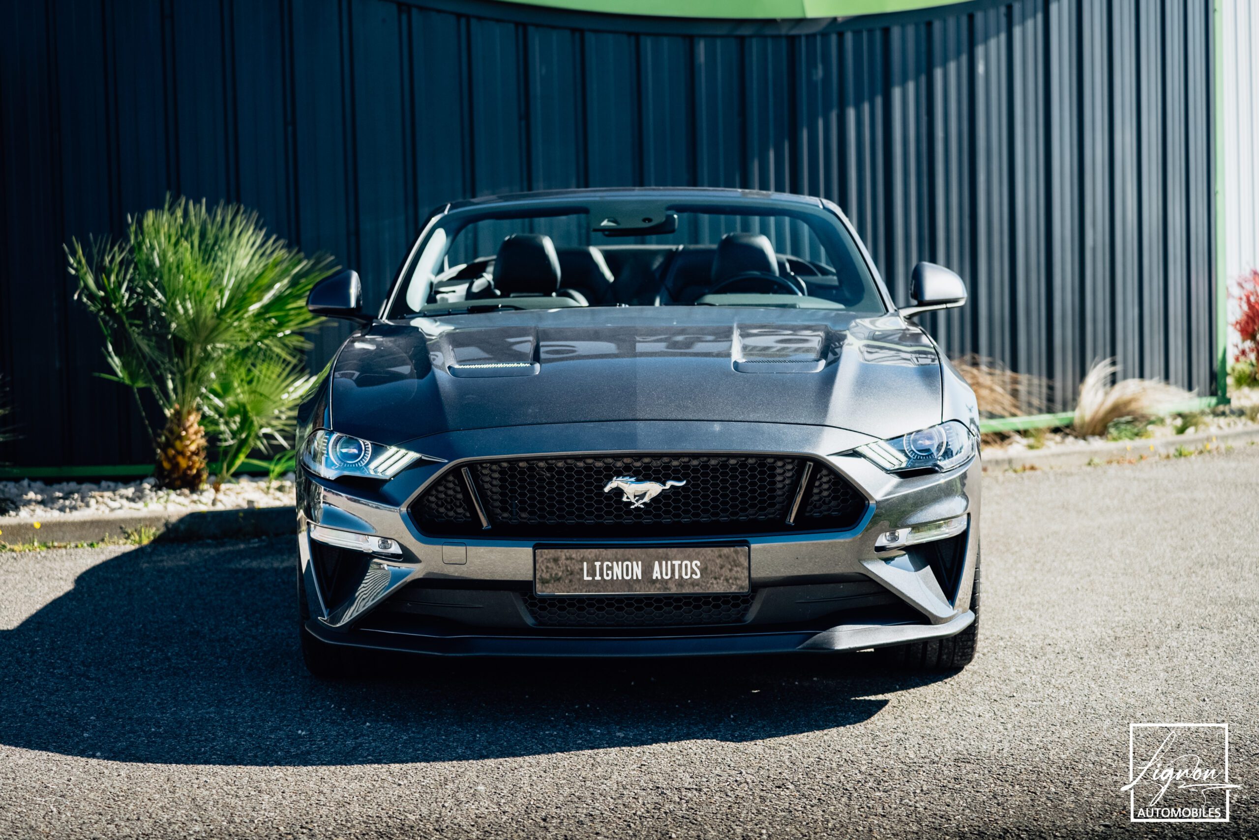 Photo Ford Mustang Cabriolet 5.0 v8 GT 450 CH BVA10 - 1er main