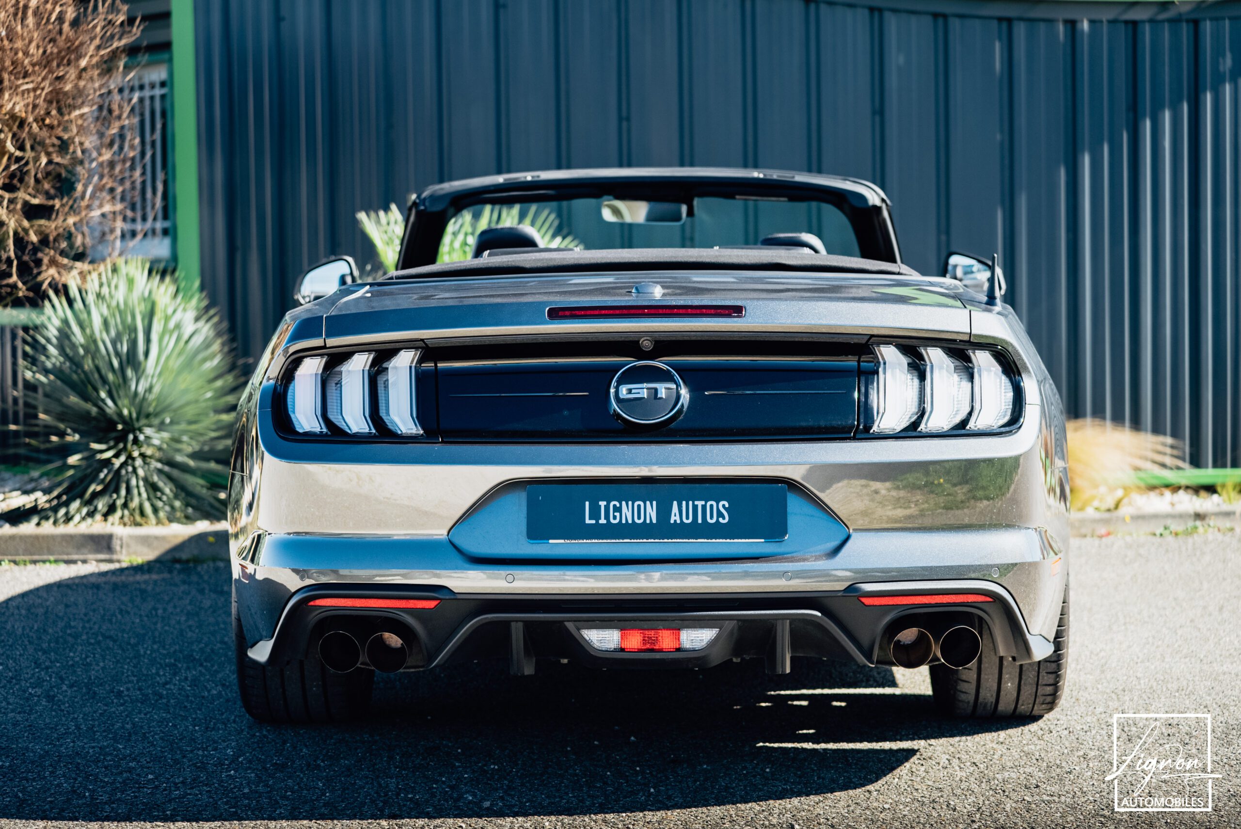Photo Ford Mustang Cabriolet 5.0 v8 GT 450 CH BVA10 - 1er main