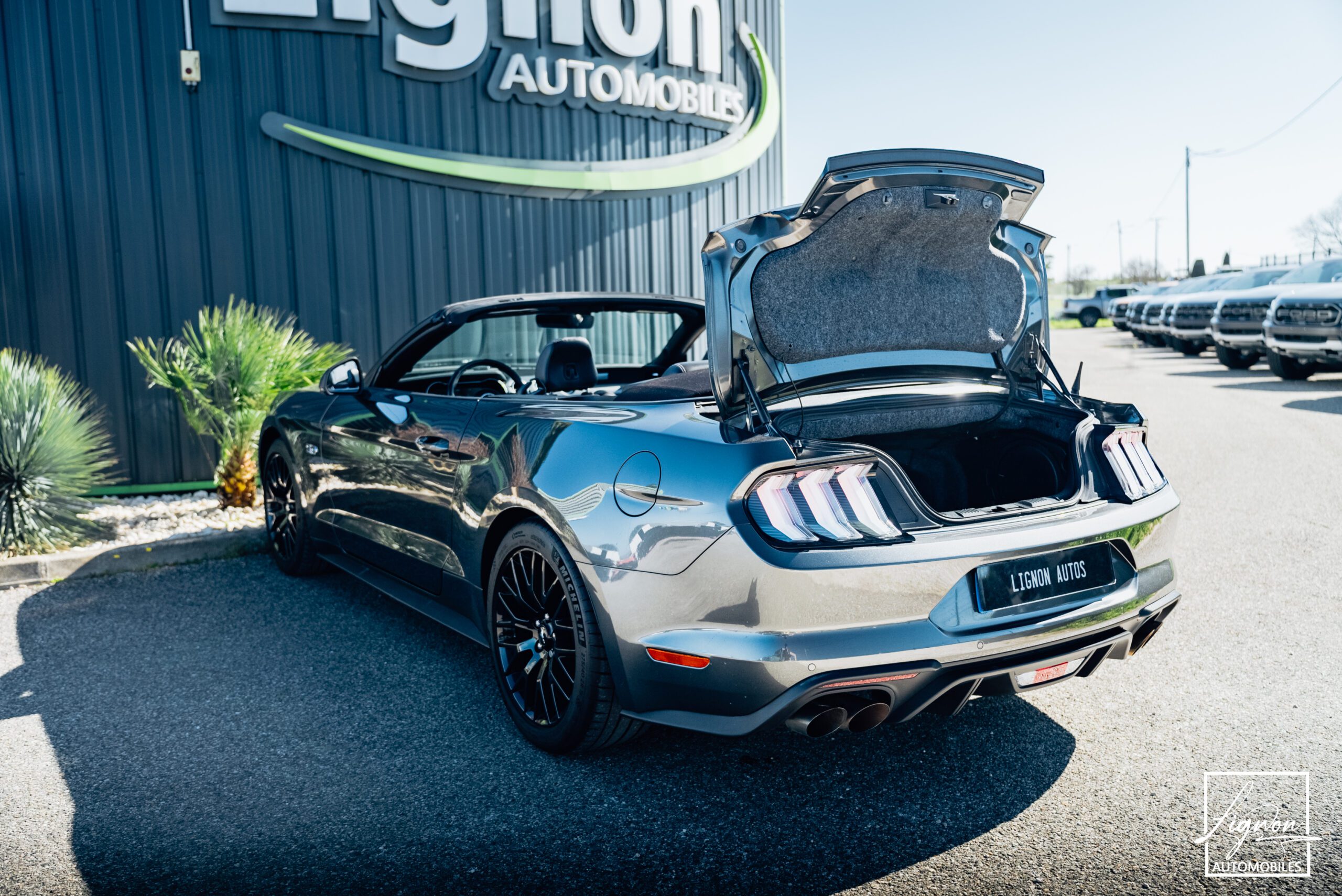 Photo Ford Mustang Cabriolet 5.0 v8 GT 450 CH BVA10 - 1er main