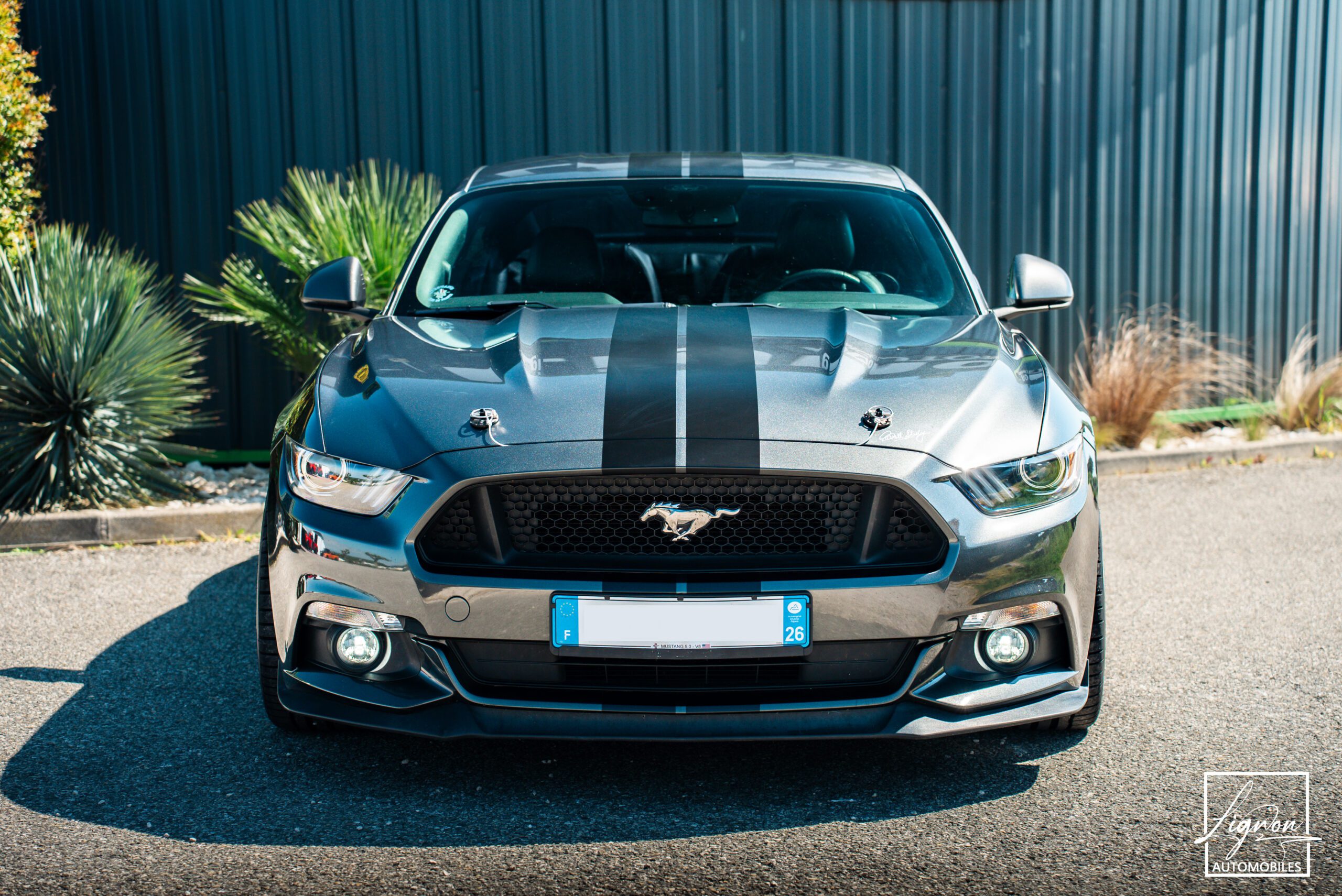 Photo Ford Mustang 5.0 v8 GT Fastback 421 ch BVM6 - Immat France - Pas de malus