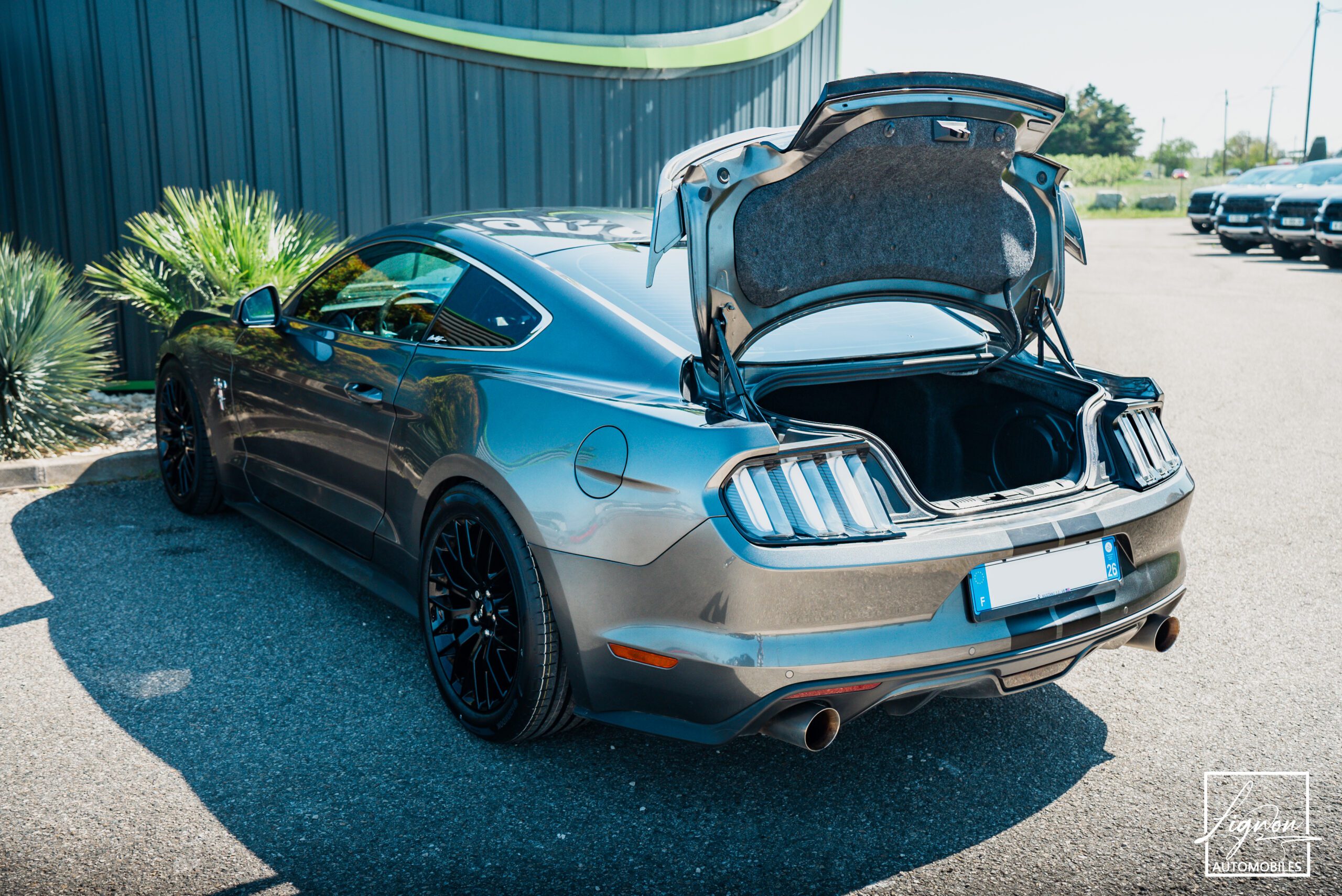 Photo Ford Mustang 5.0 v8 GT Fastback 421 ch BVM6 - Immat France - Pas de malus