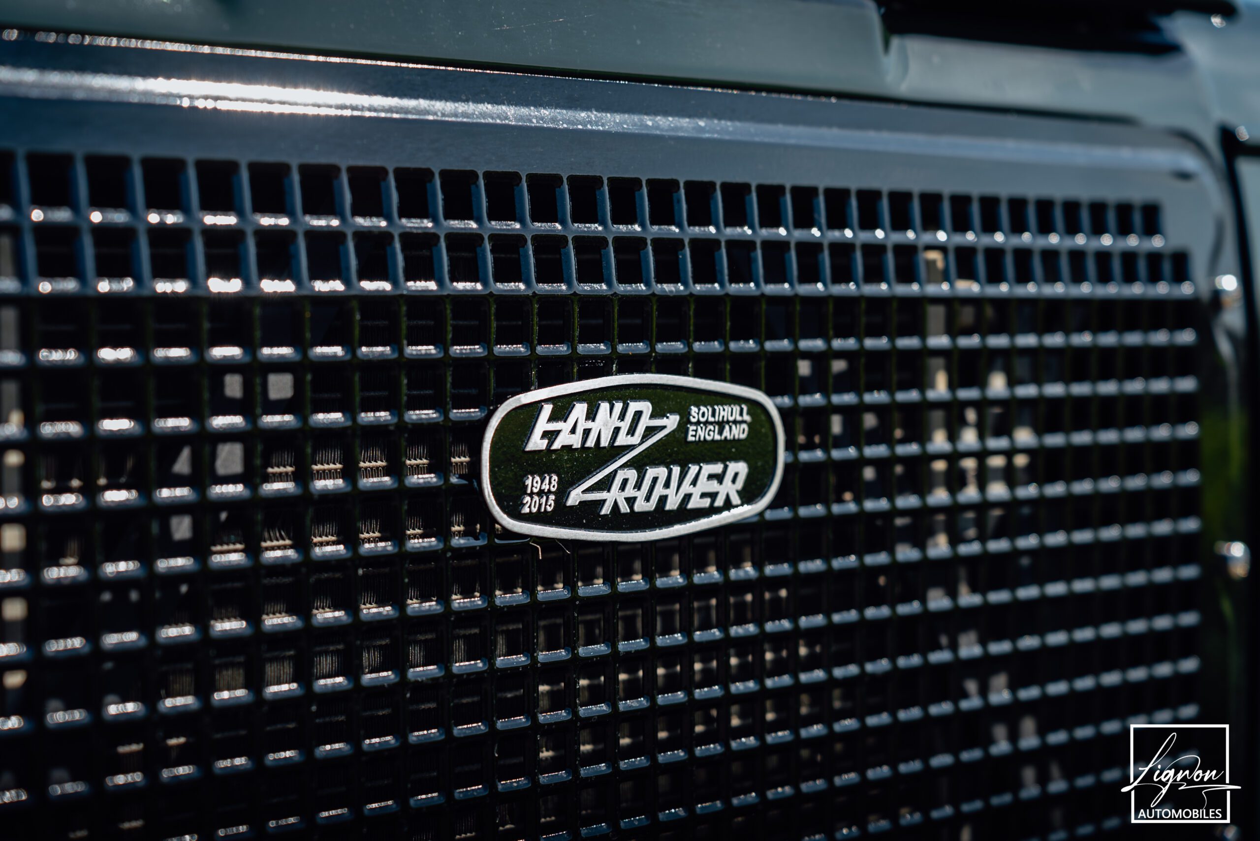 Photo Land Rover Defender 110 td5 sw 9 places "Underberg Green"