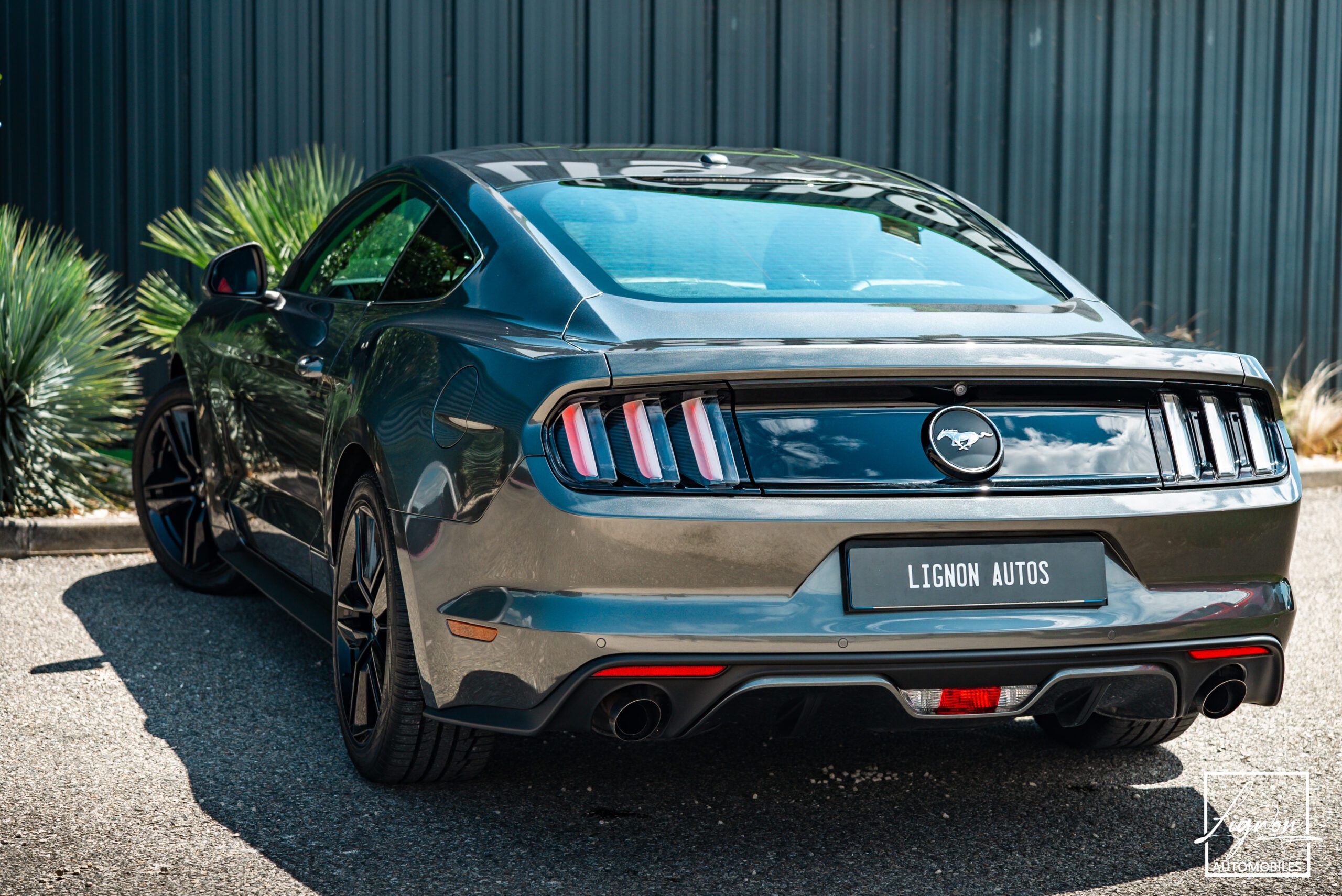 Photo Ford Mustang Fastback Ecoboost 2.3 317 ch BVA6 - CARPLAY - CAMERA