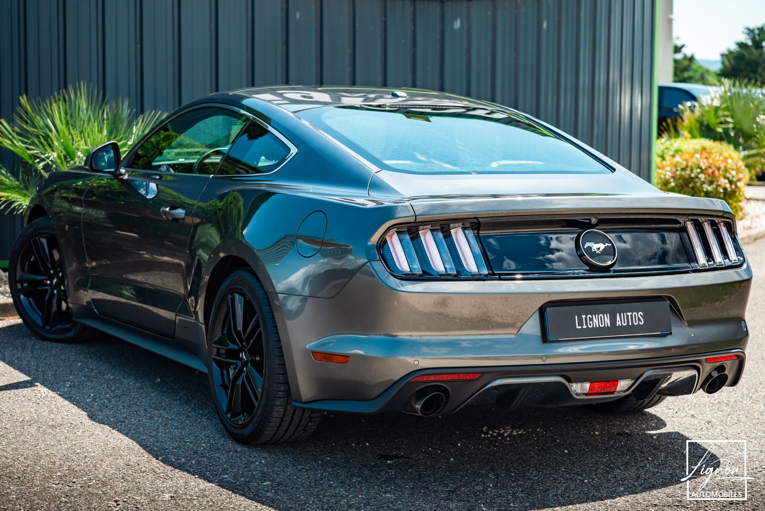 Photo Ford Mustang Fastback Ecoboost 2.3 317 ch BVA6 - CARPLAY - CAMERA