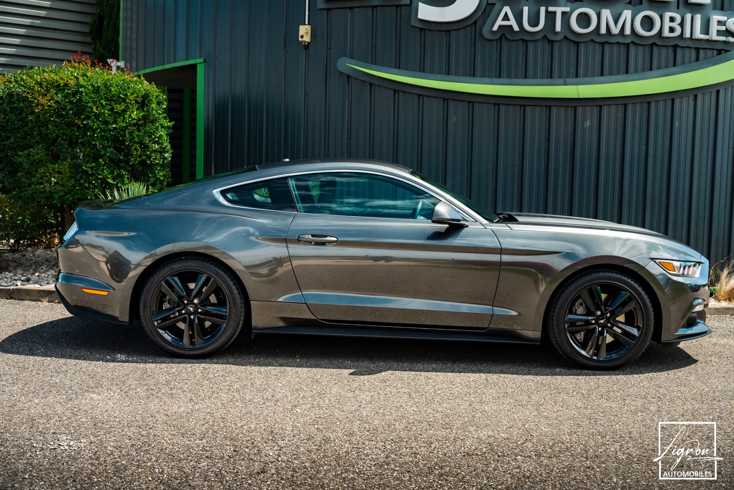 Photo Ford Mustang Fastback Ecoboost 2.3 317 ch BVA6 - CARPLAY - CAMERA