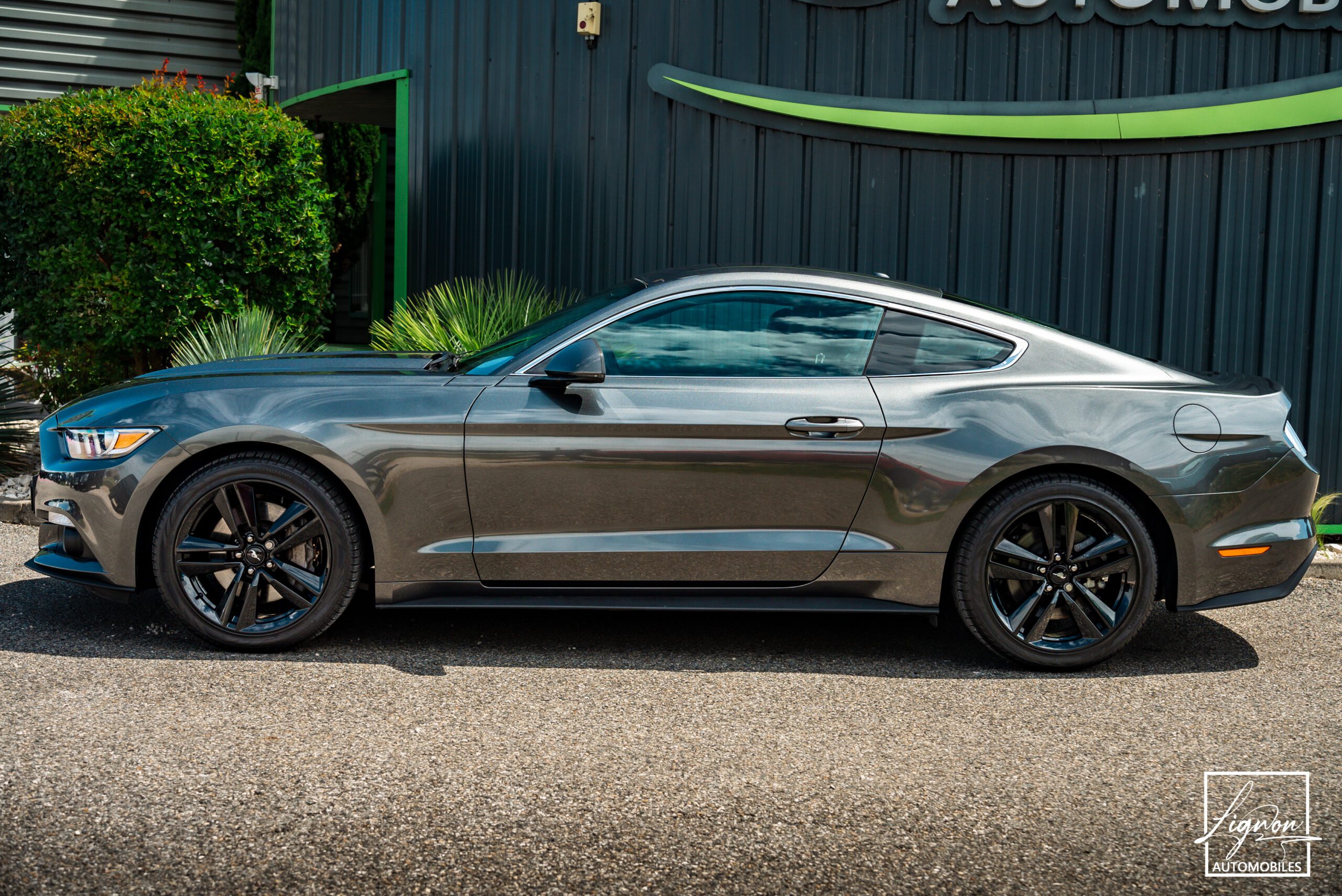 Photo Ford Mustang Fastback Ecoboost 2.3 317 ch BVA6 - CARPLAY - CAMERA