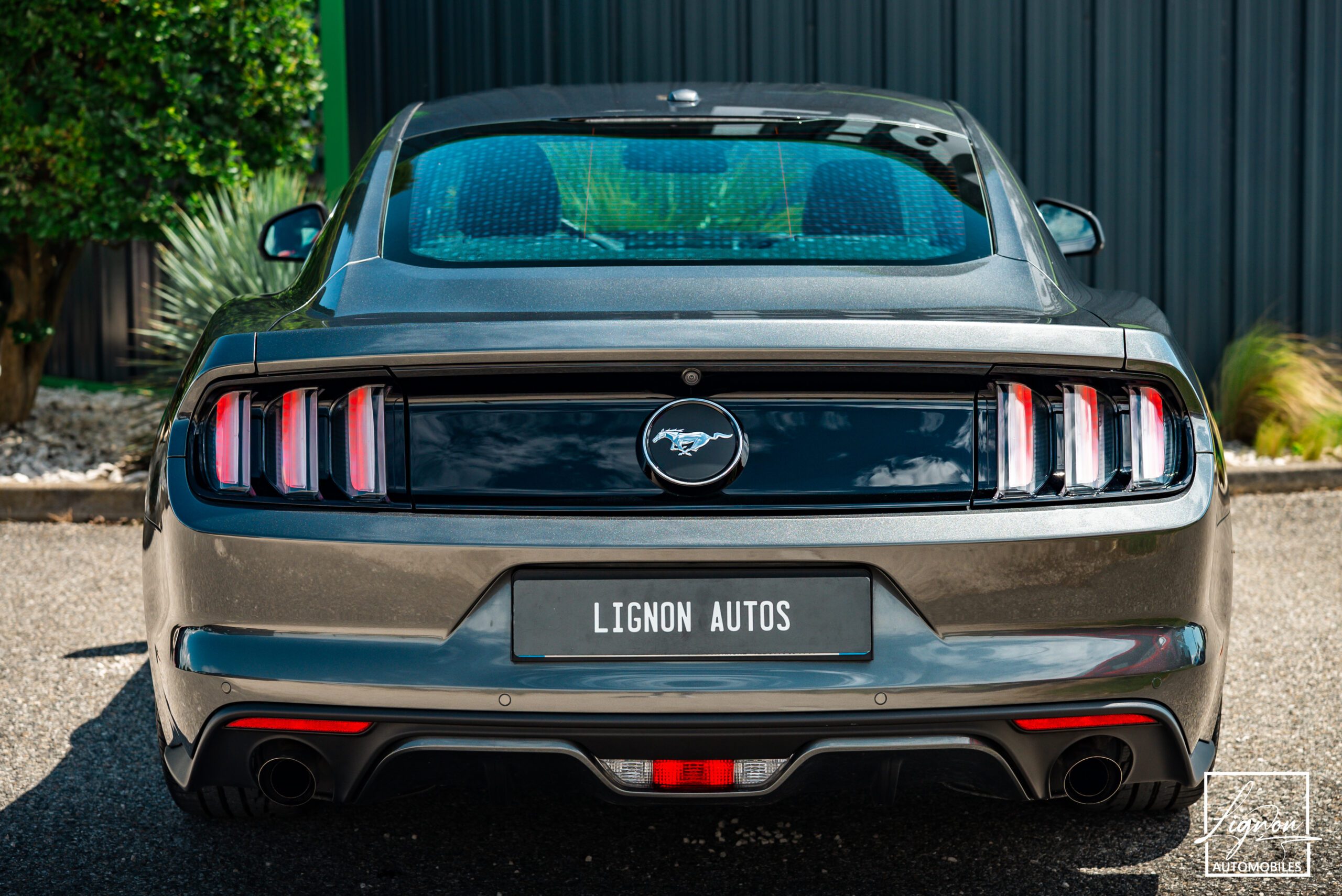 Photo Ford Mustang Fastback Ecoboost 2.3 317 ch BVA6 - CARPLAY - CAMERA