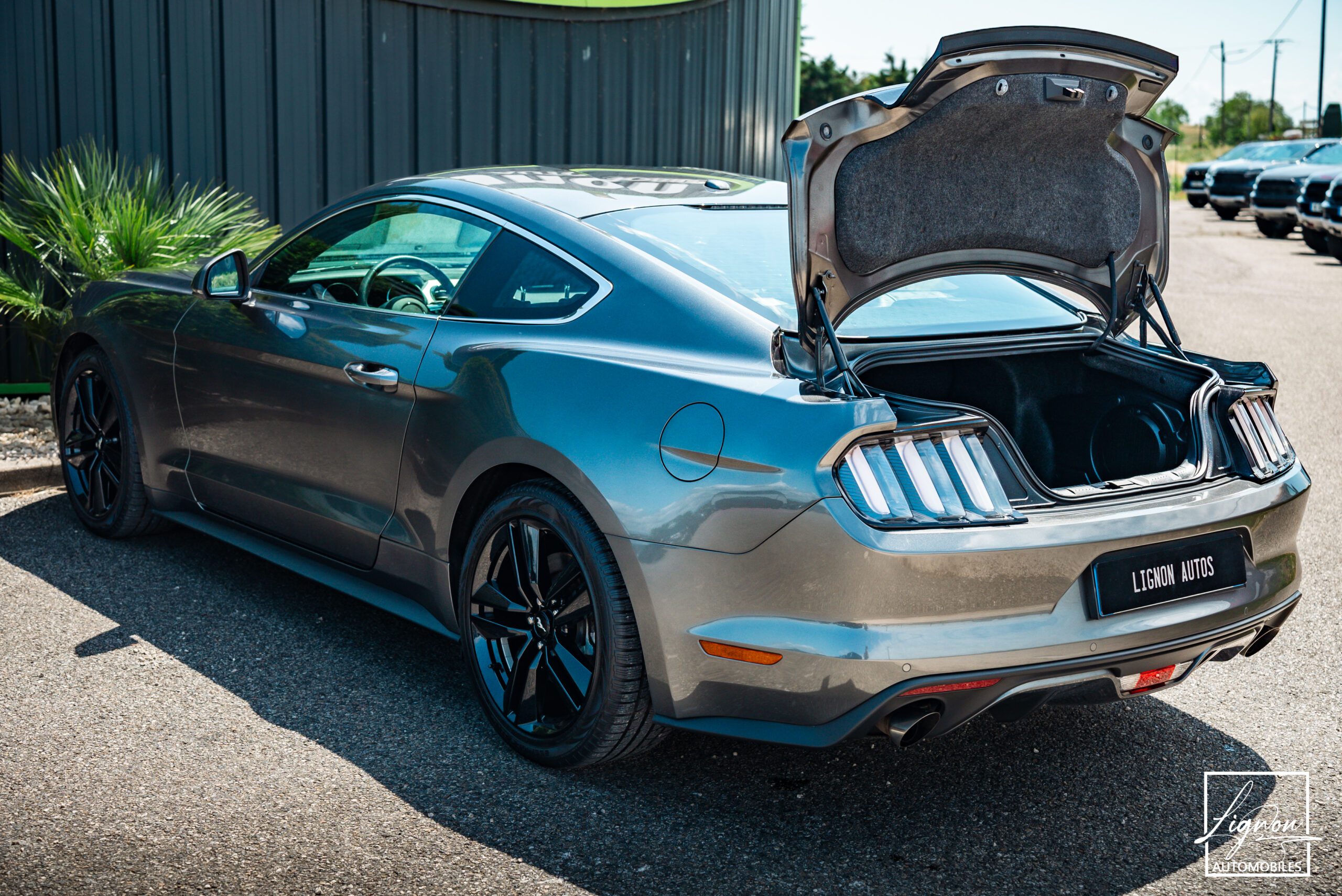 Photo Ford Mustang Fastback Ecoboost 2.3 317 ch BVA6 - CARPLAY - CAMERA
