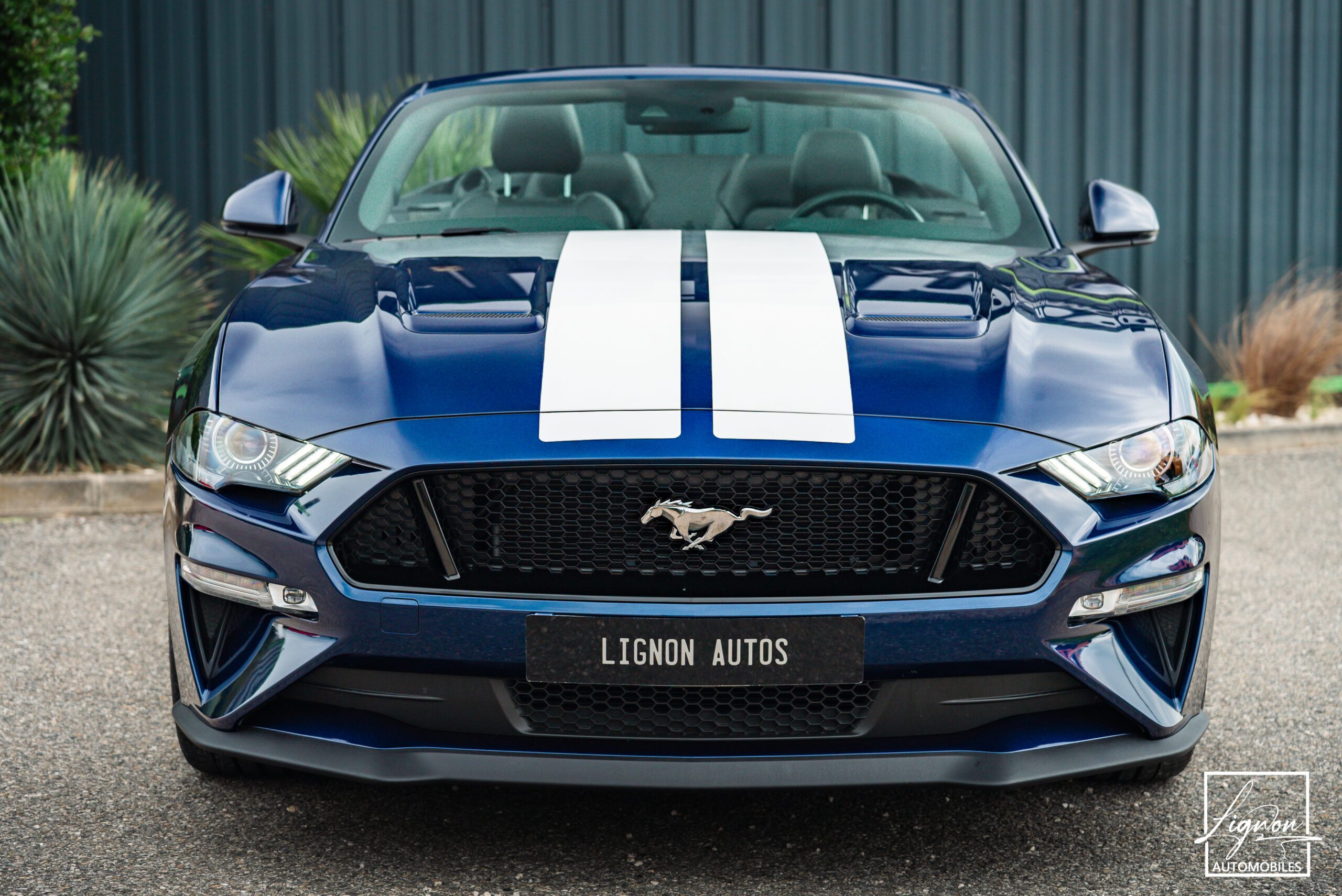 Photo Ford Mustang Cabriolet Gt 5.0l V8 450 Bva10 Premium - Suspension Magneride et B&O