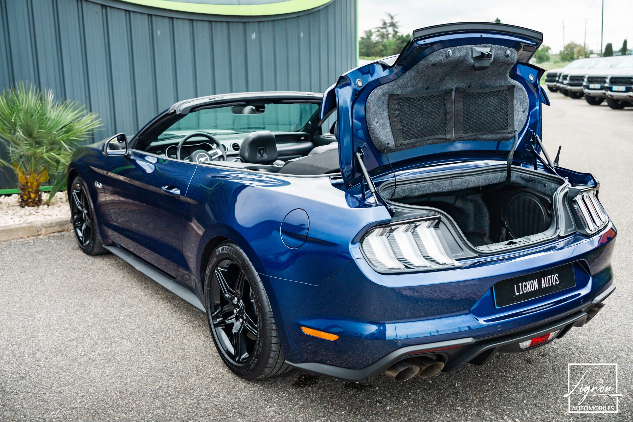 Photo Ford Mustang Cabriolet Gt 5.0l V8 450 Bva10 Premium - Suspension Magneride et B&O