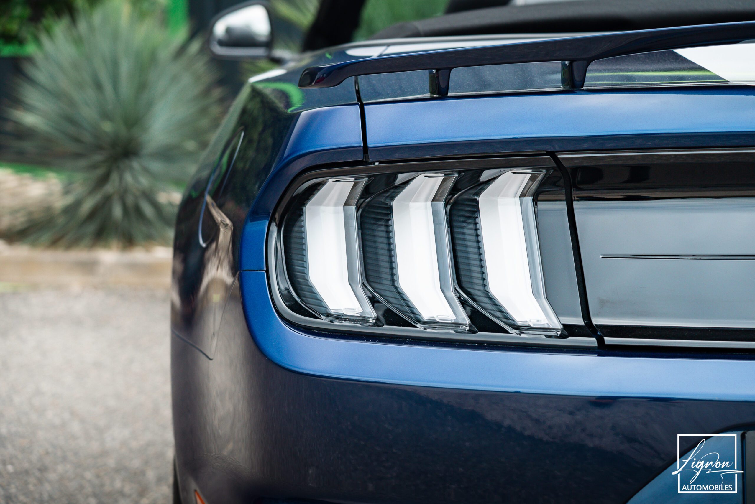 Photo Ford Mustang Cabriolet Gt 5.0l V8 450 Bva10 Premium - Suspension Magneride et B&O